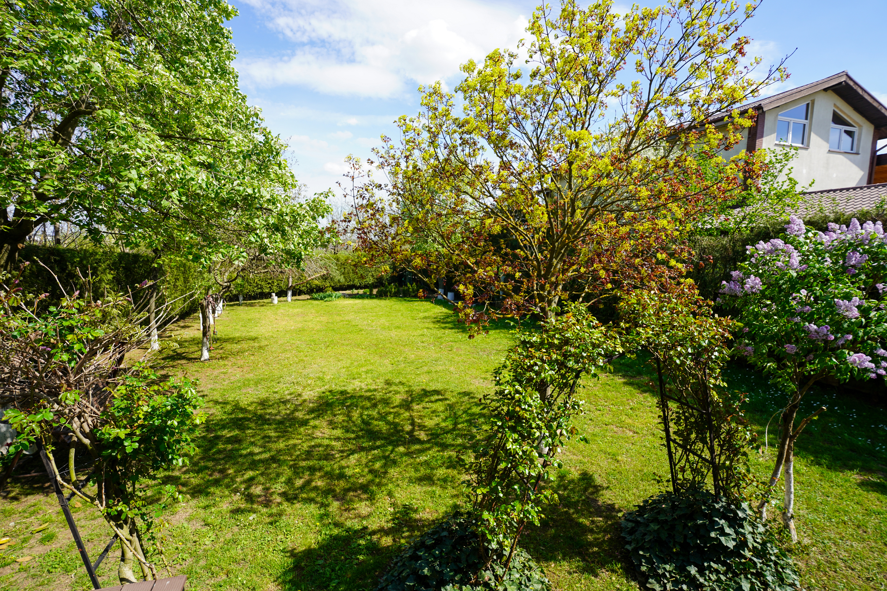  Luxury Villa in a Prime Educational Hub, Pipera - 物件實景