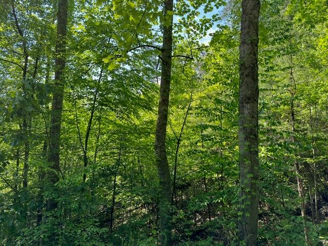 Sevierville, Tennessee, 37876, United States, 13 Bedrooms Bedrooms, ,14 BathroomsBathrooms,Residential,For Sale,1974606