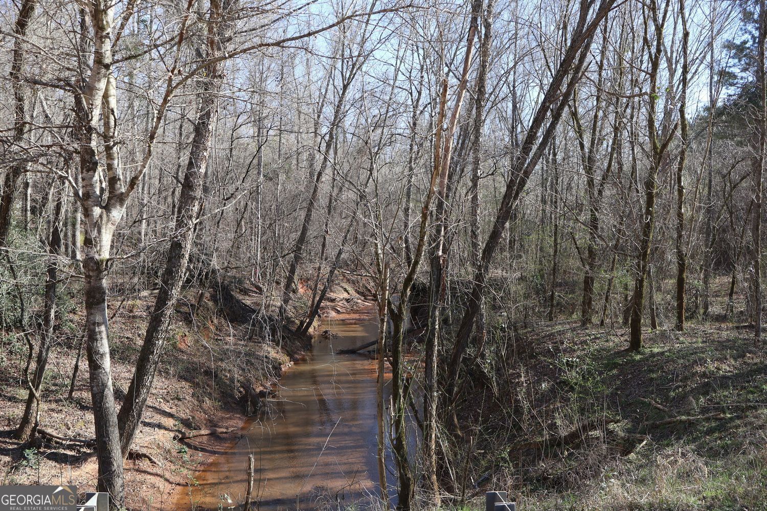Forsyth, Georgia, 31029, United States, ,Land,For Sale,1907989