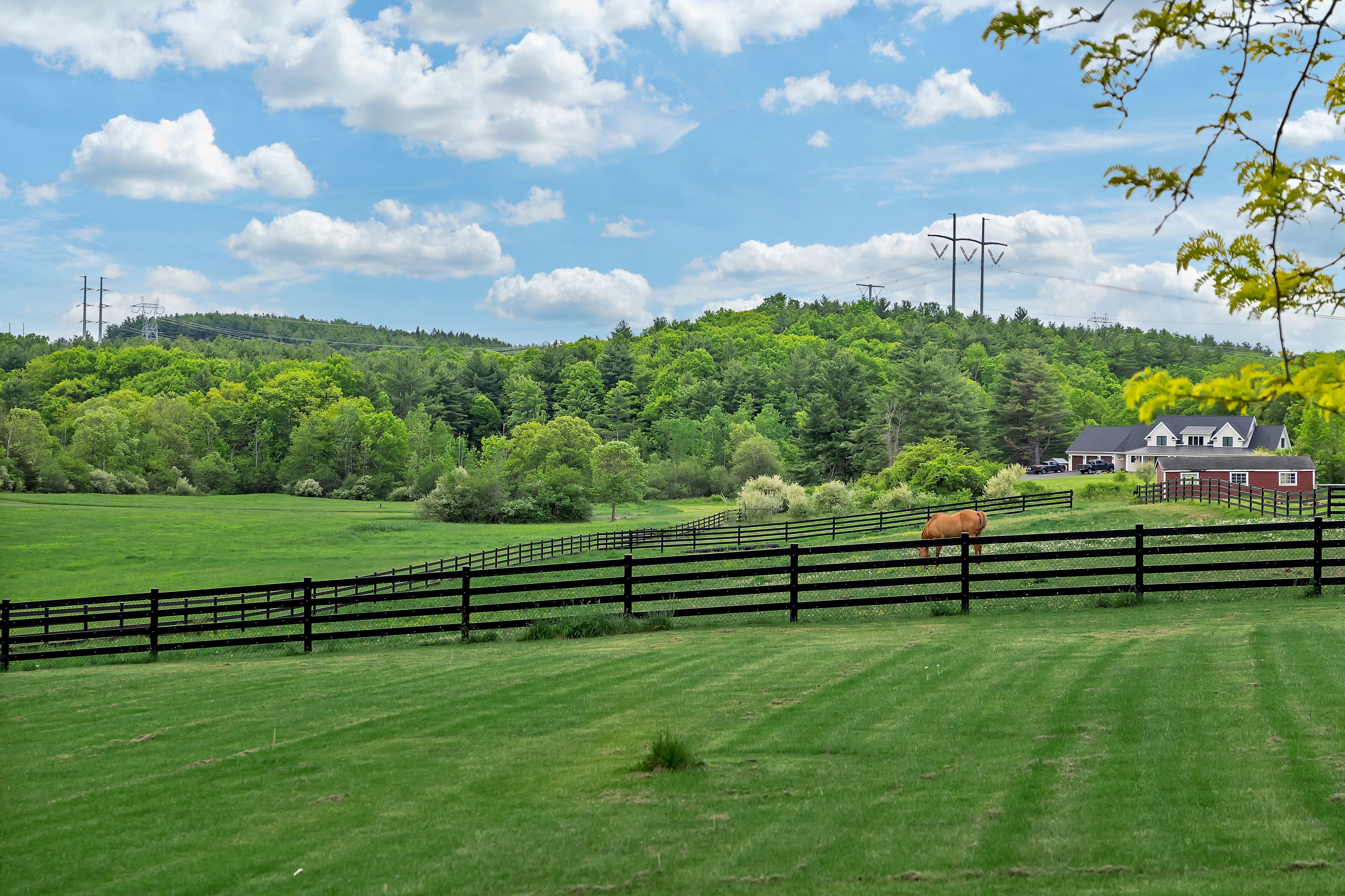 Equestrian Estate on 7 Acres - 物件實景
