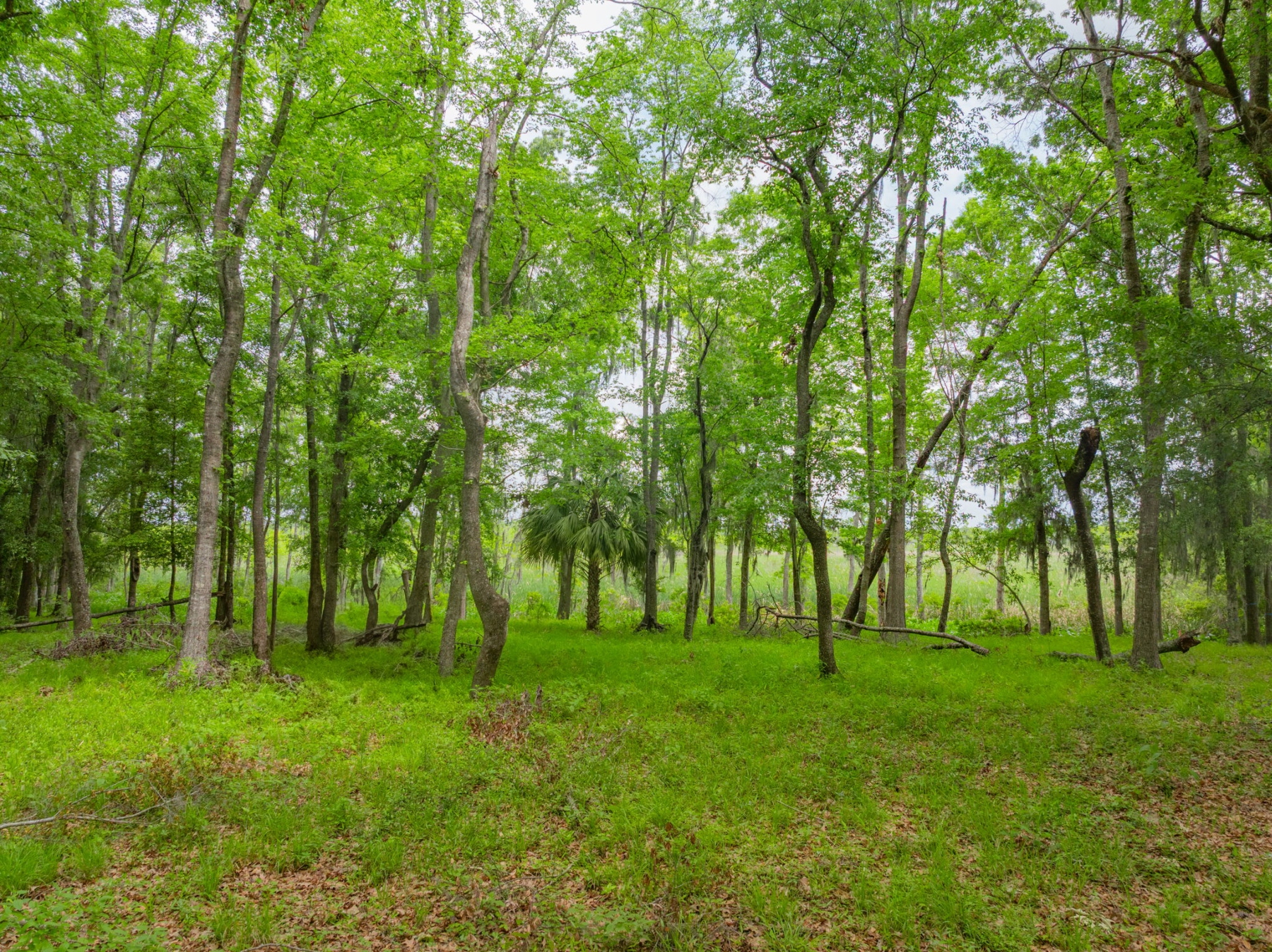  800 Silk Hope Drive, Richmond Hill - 物件實景