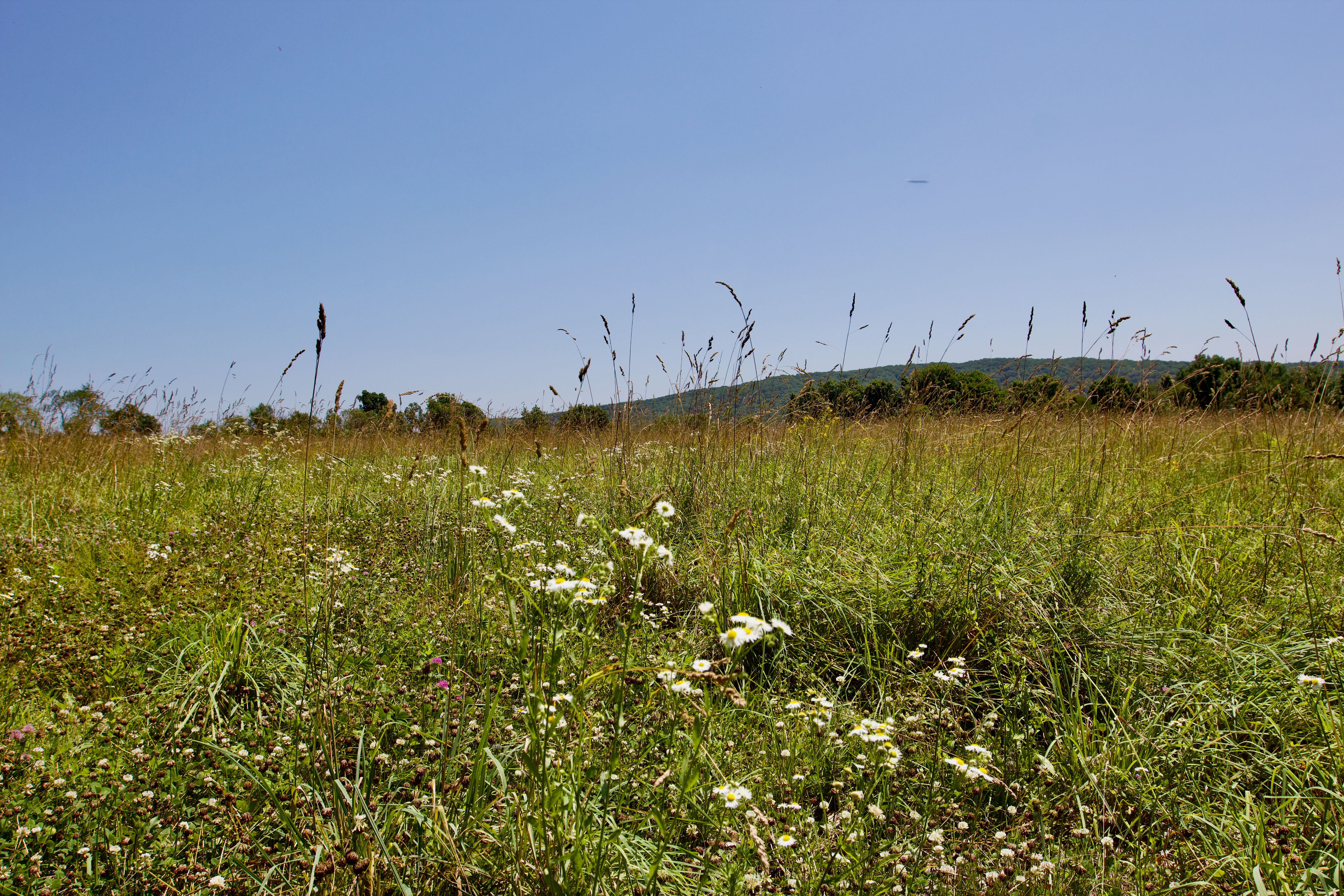  90 West End Road, Hillsdale, NY 12529 - 物件實景
