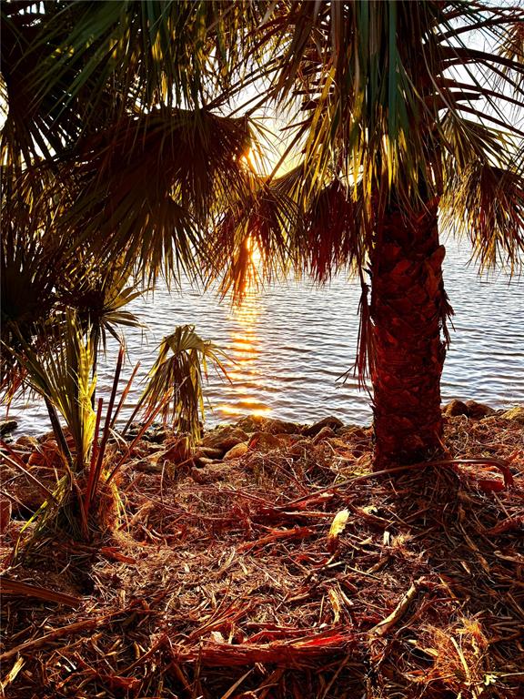 Ormond Beach, Florida, 32176, United States, ,Land,For Sale,1743794