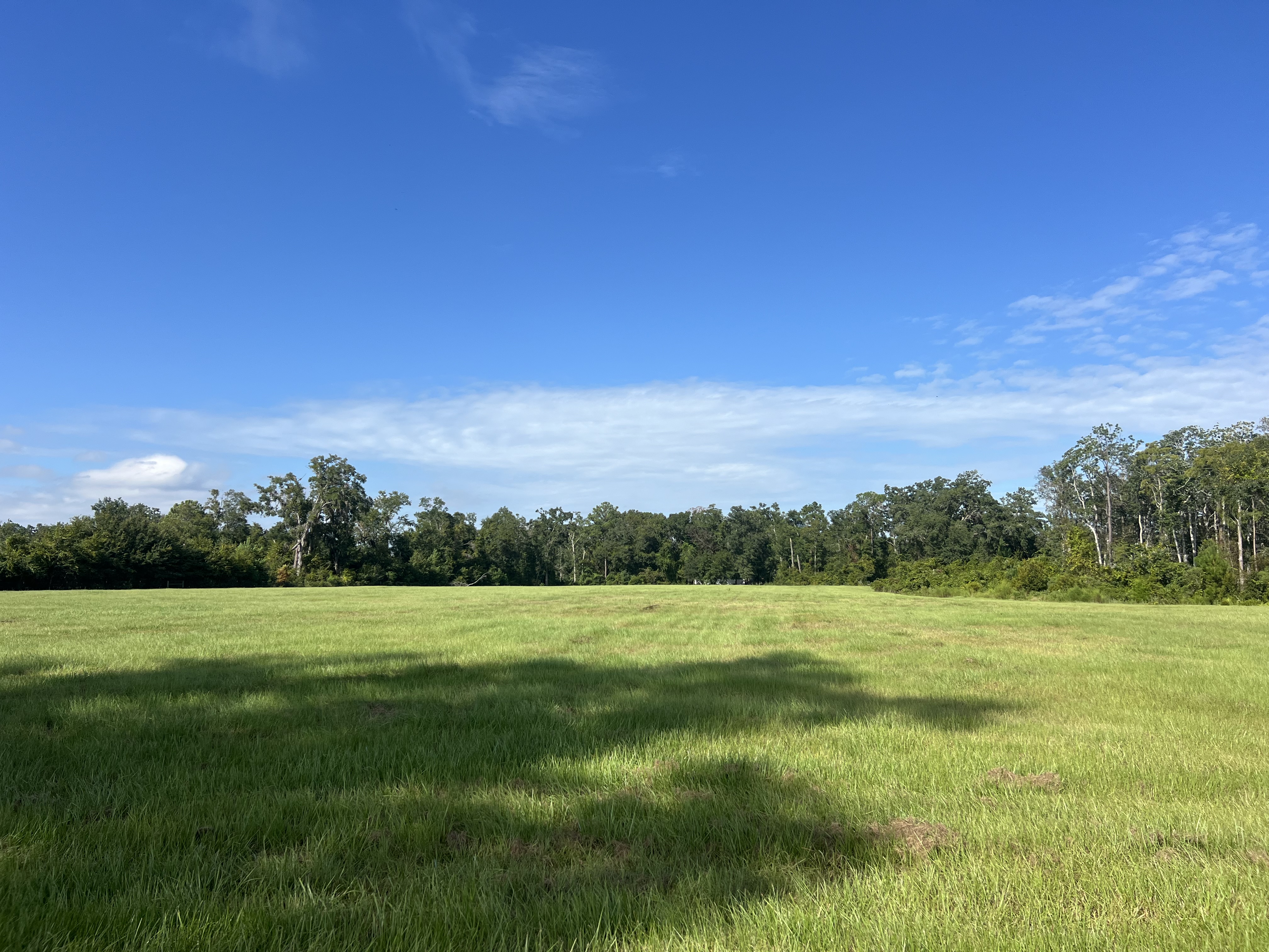 LAKE CITY, Florida, 32024, United States, 3 Bedrooms Bedrooms, ,2 BathroomsBathrooms,Residential,For Sale,1948883