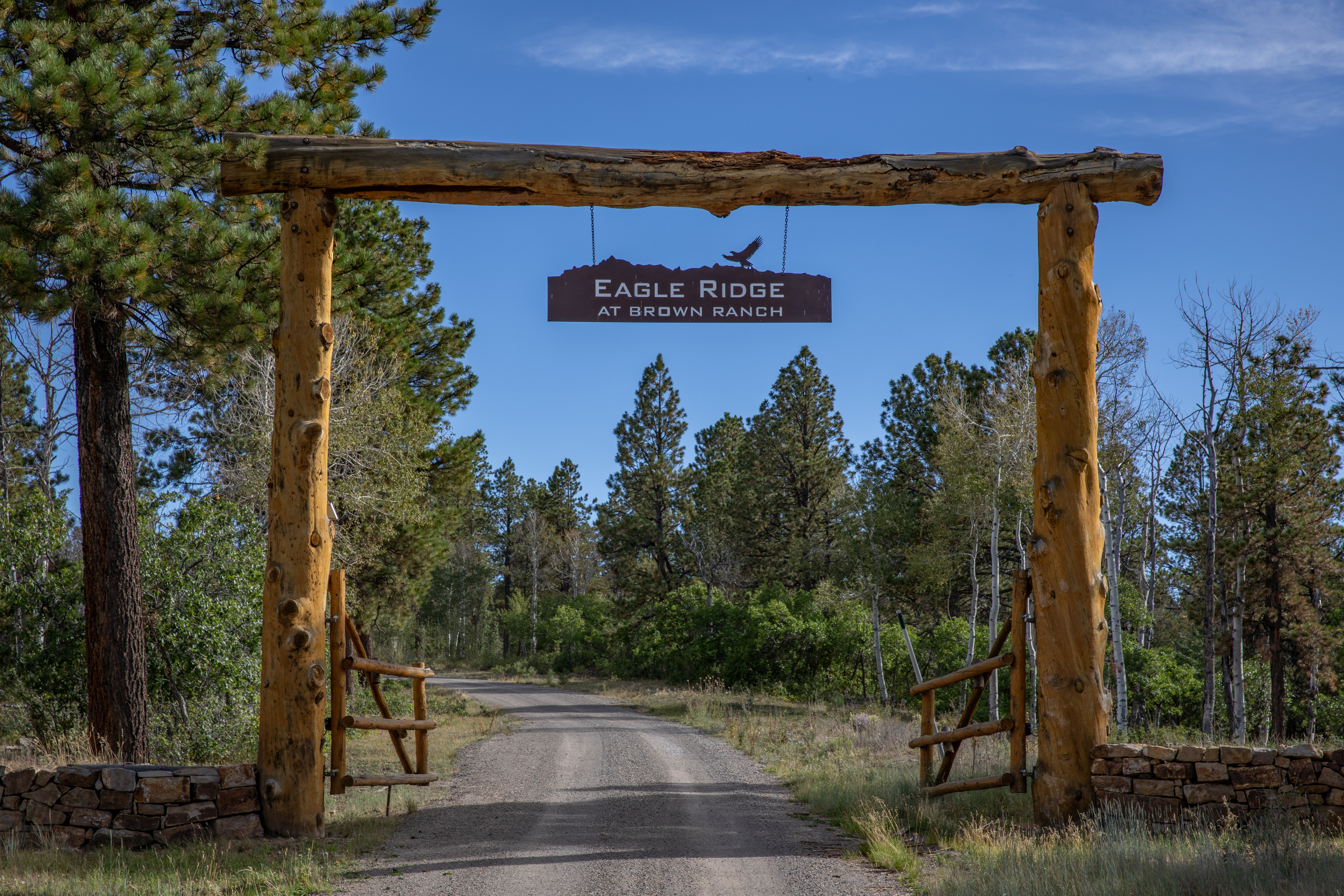  Build Ready Parcel in Eagle Ridge with Views of Mt. Sneffels and Mt. Wilson - 物件實景