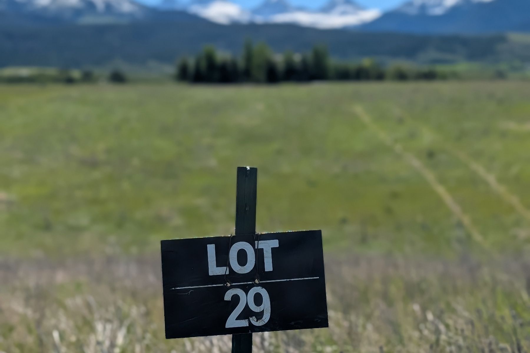  Snow Crest Ranch Drive - 物件實景