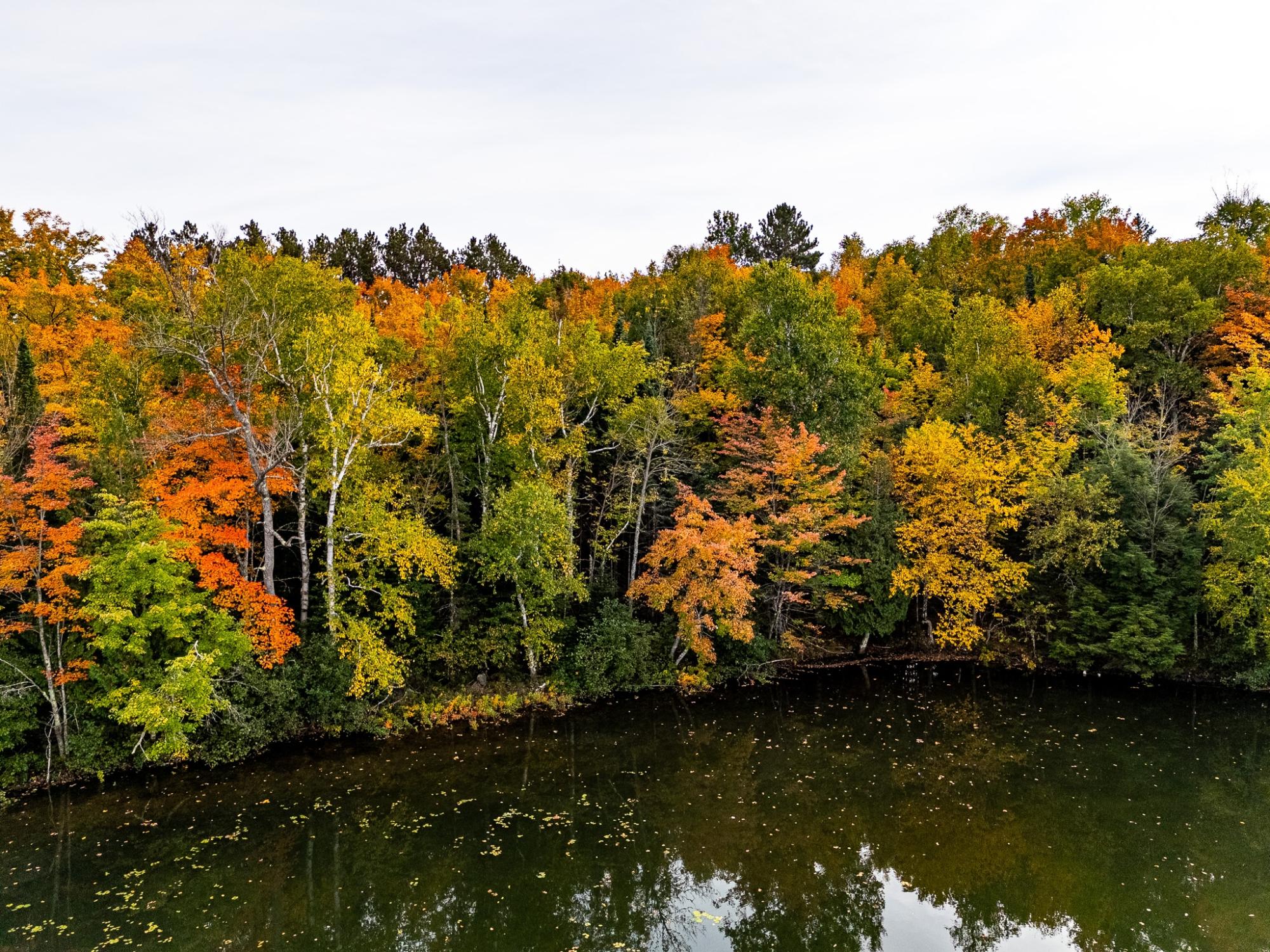 Presque Isle, Wisconsin, 54557, United States, ,Land,For Sale,1984076