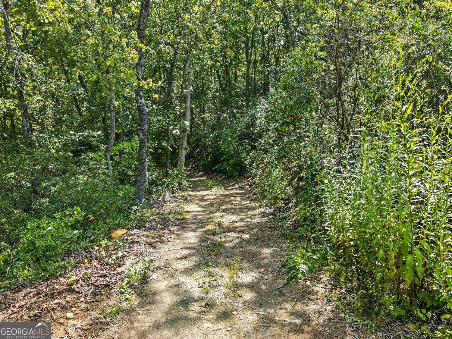 Waleska, Georgia, 30183, United States, ,Land,For Sale,1929808