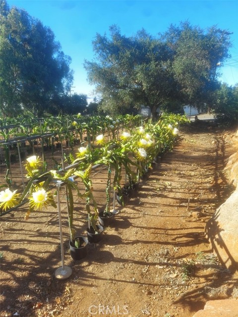 Fallbrook, California, 92028, United States, 2 Bedrooms Bedrooms, ,3 BathroomsBathrooms,Residential,For Sale,1979251