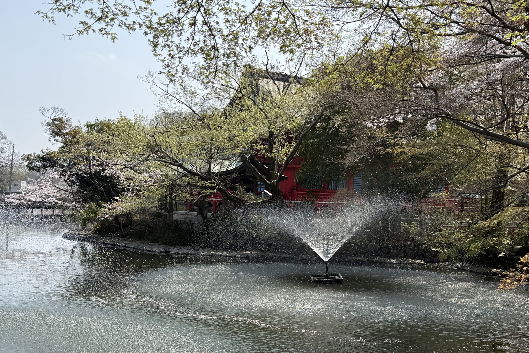  Inokashira Parkside Residence - 物件實景