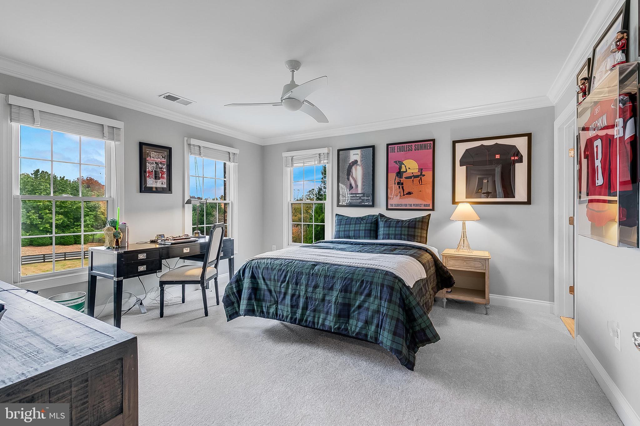 Aldie, Virginia, 20105, United States, 5 Bedrooms Bedrooms, ,7 BathroomsBathrooms,Residential,For Sale,1980828