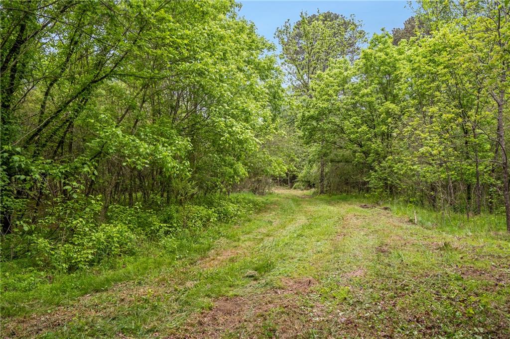Alpharetta, Georgia, 30004, United States, ,Land,For Sale,1793114