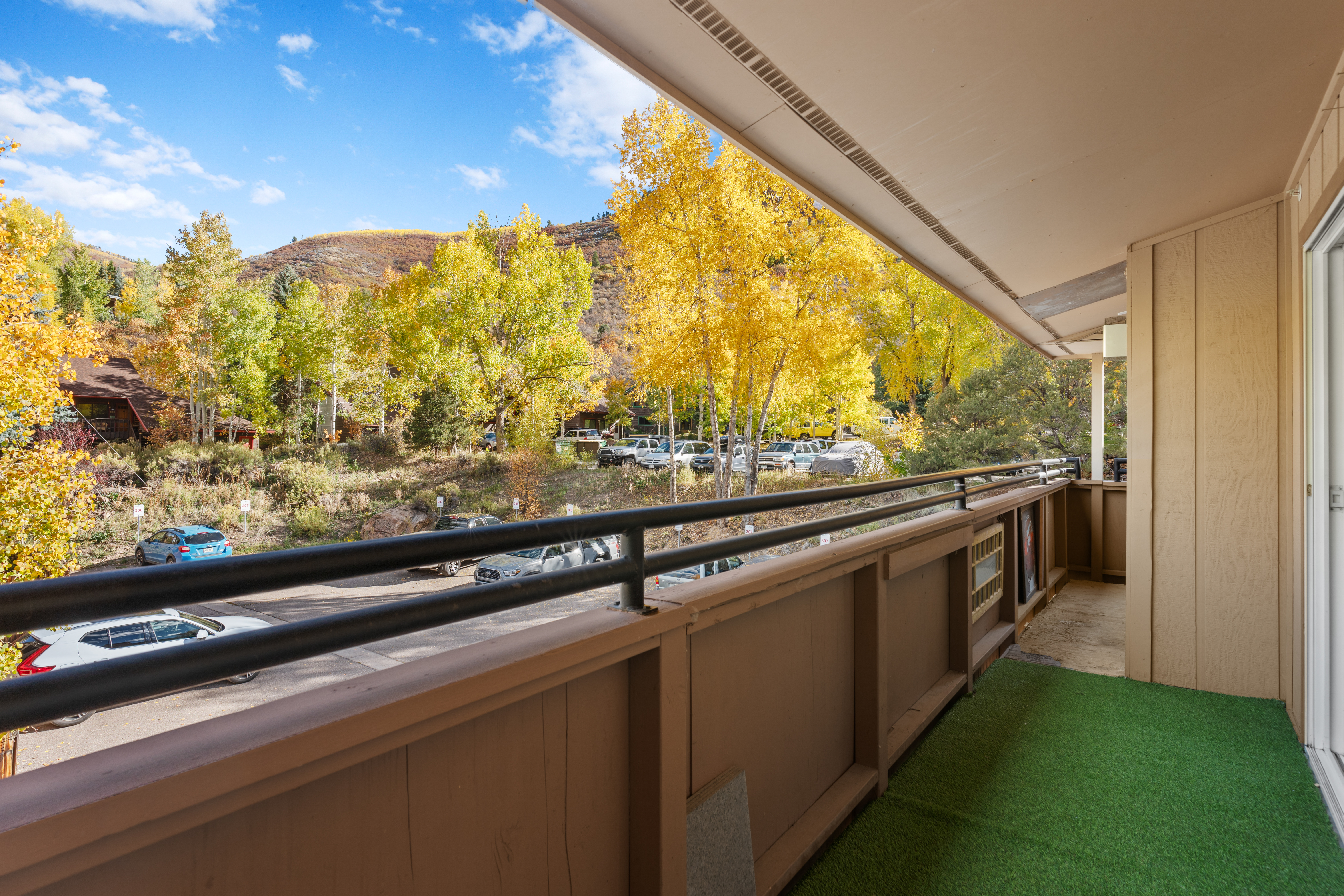  326 Midland Avenue 306, Aspen, CO, 81611 - 物件實景