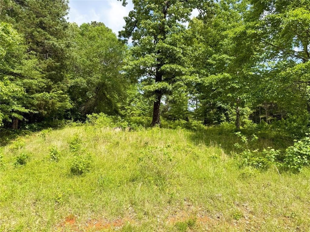 Homer, Louisiana, 71040, United States, 4 Bedrooms Bedrooms, ,2 BathroomsBathrooms,Residential,For Sale,1922806