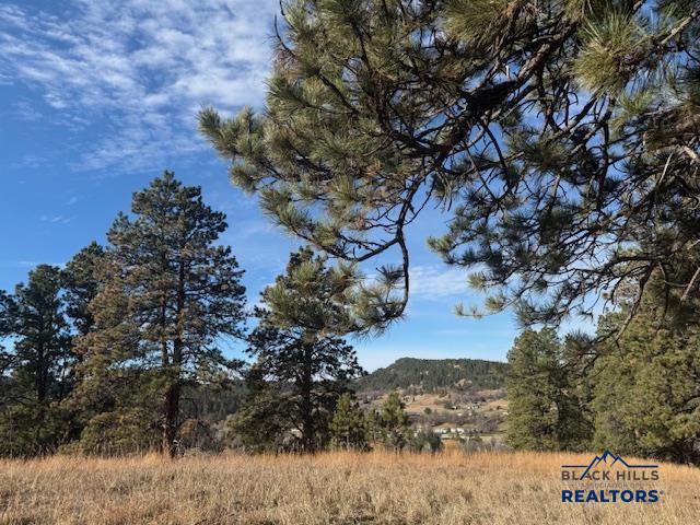 Whitewood, South Dakota, 57793, United States, ,Land,For Sale,2005970