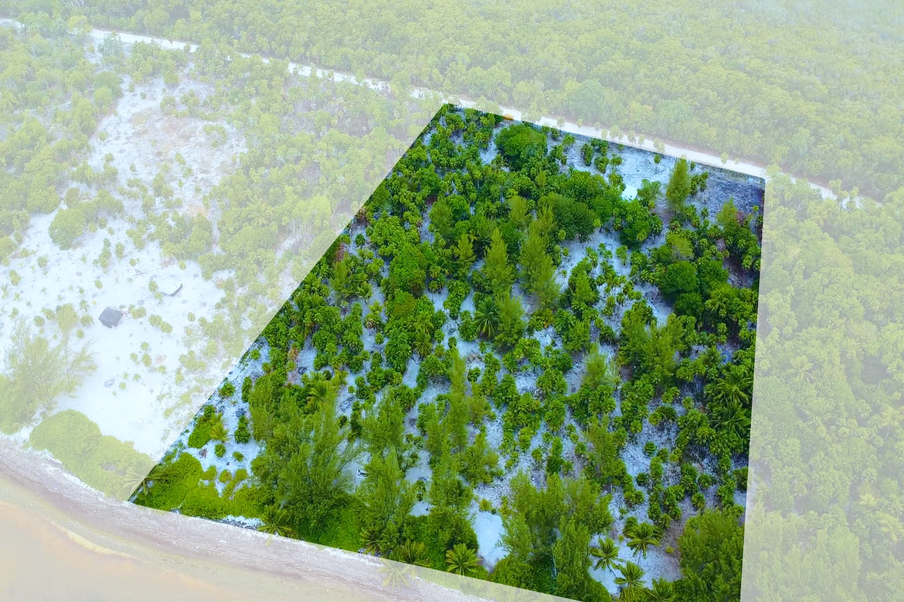  Viridiana Reserve: Beachfront Macro-lot in a Prime Location - 物件實景