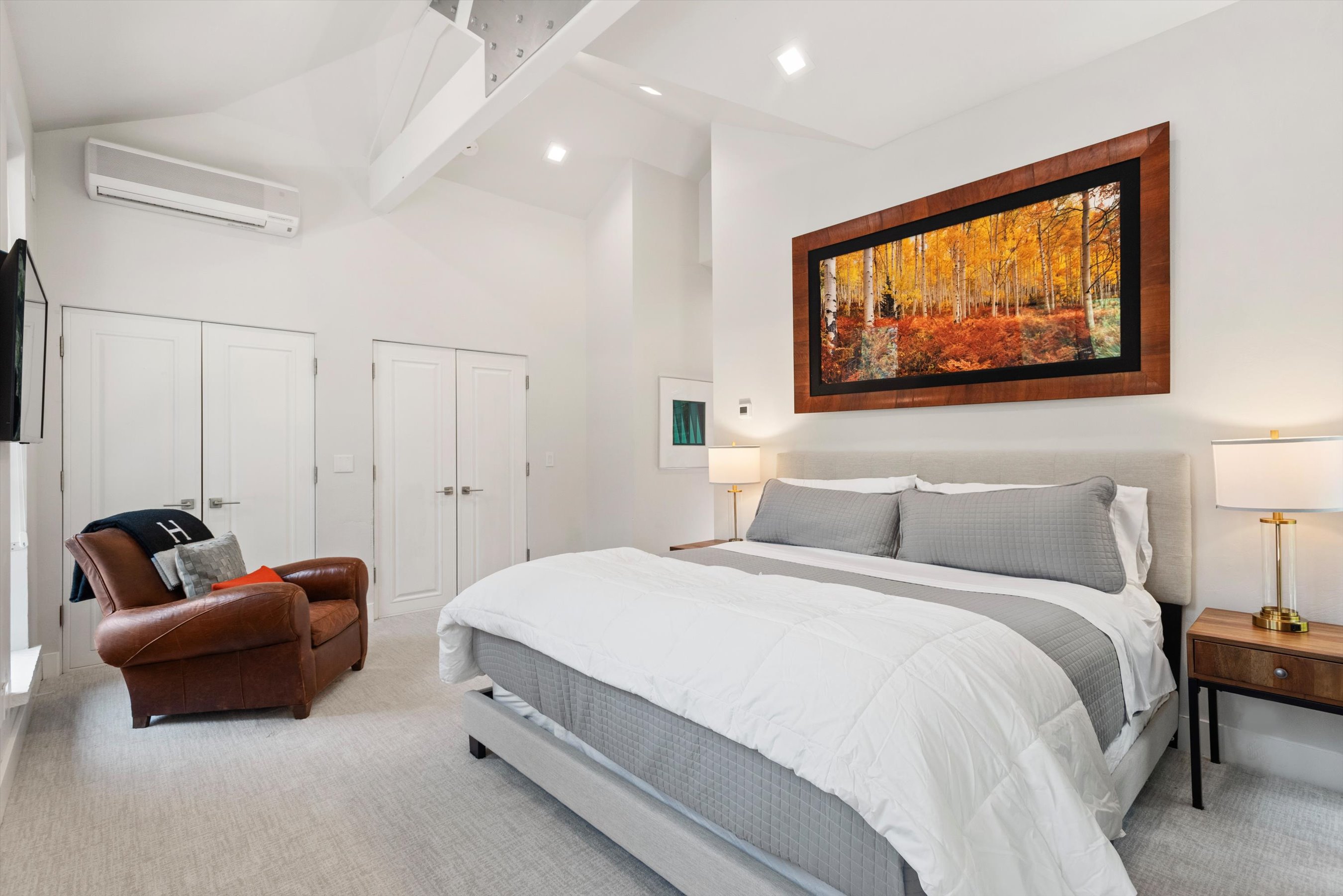  736 W Smuggler Street, Aspen, CO, 81611 - 物件實景