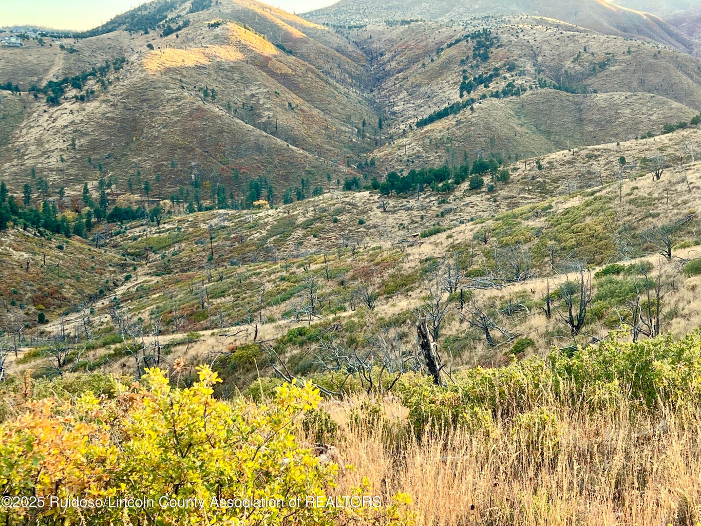 Nogal, New Mexico, 88341, United States, ,Land,For Sale,1988208