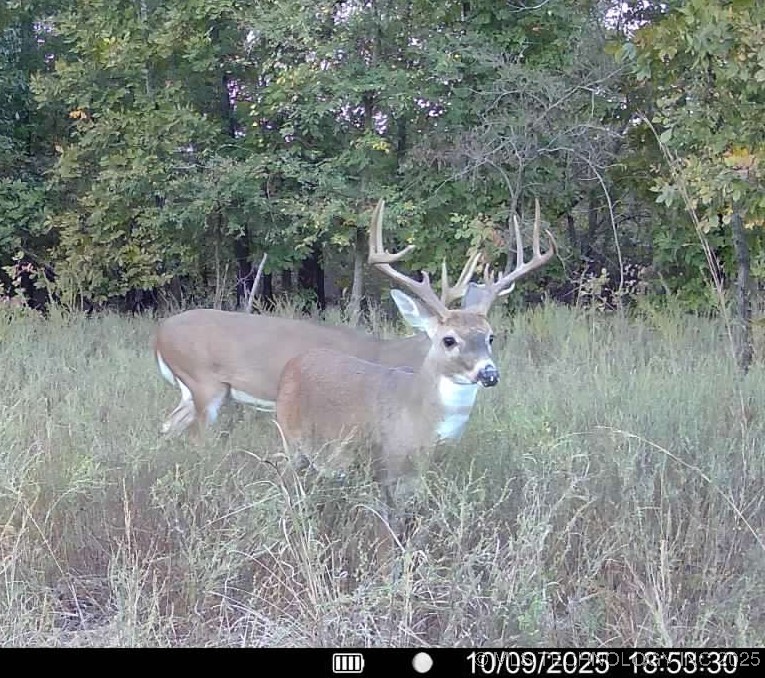 Haskell, Oklahoma, 74436, United States, ,Residential,For Sale,1989173