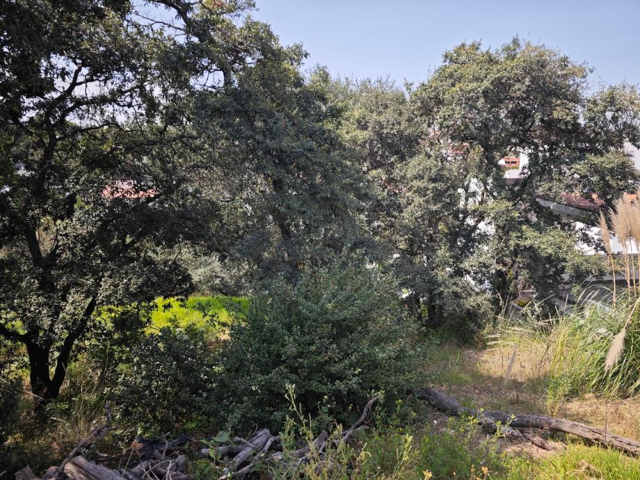 Capulines, Atizapán de Zaragoza, Estado de México, 52938, Mexico, 1 Bedroom Bedrooms, ,Residential,For Sale,Capulines,1443866