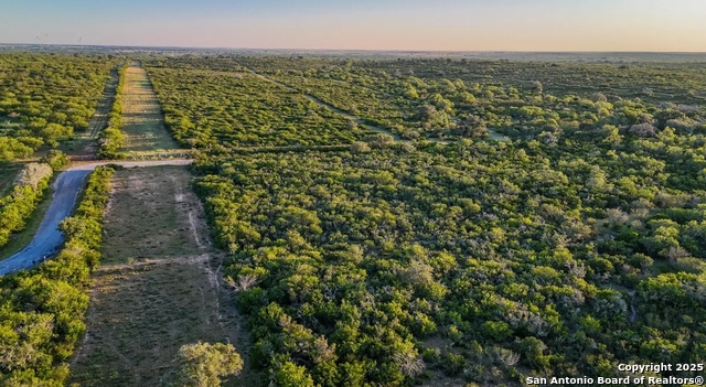 Beeville, Texas, 78102, United States, ,Land,For Sale,1988110
