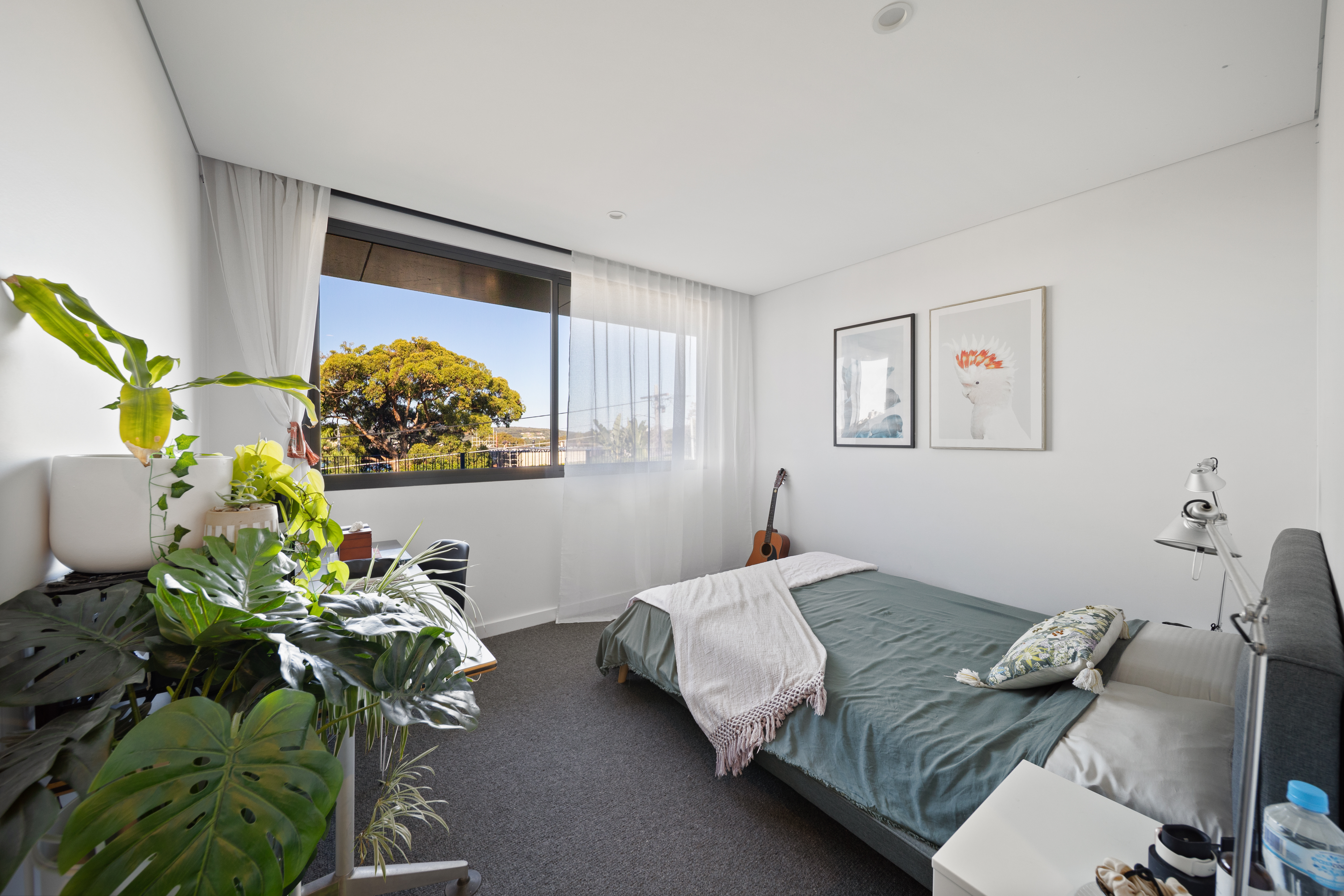  7 Tutus Street, Balgowlah Heights - 物件實景