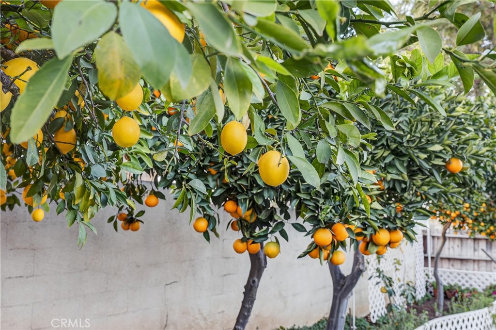 Corona, California, 92883, United States, 4 Bedrooms Bedrooms, ,2 BathroomsBathrooms,Residential,For Sale,2009090