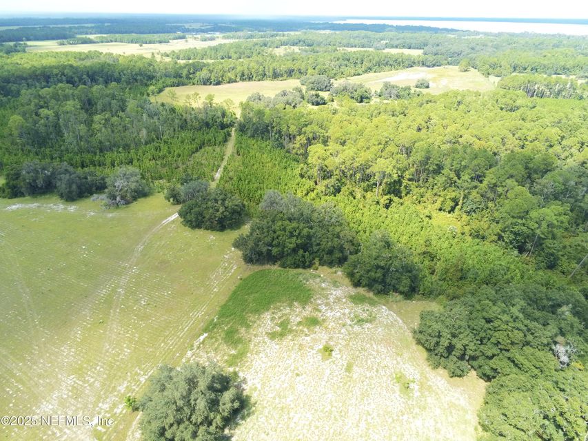 Crescent City, Florida, 32112, United States, ,Land,For Sale,1974247