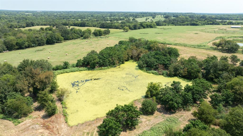 Yantis, Texas, 75497, United States, ,Land,For Sale,1917714