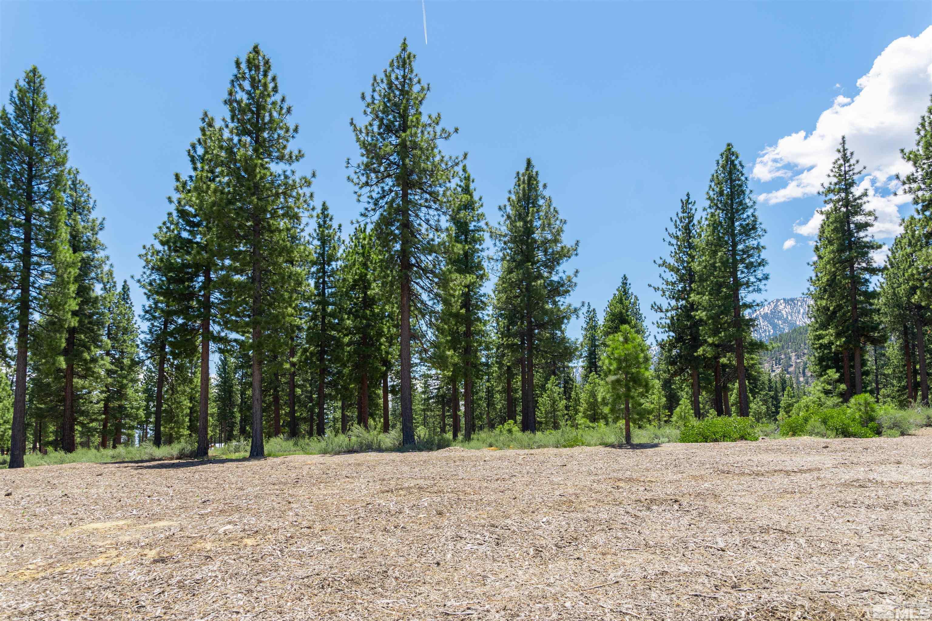 Carson City, Nevada, 89705, United States, ,Land,For Sale,1826407