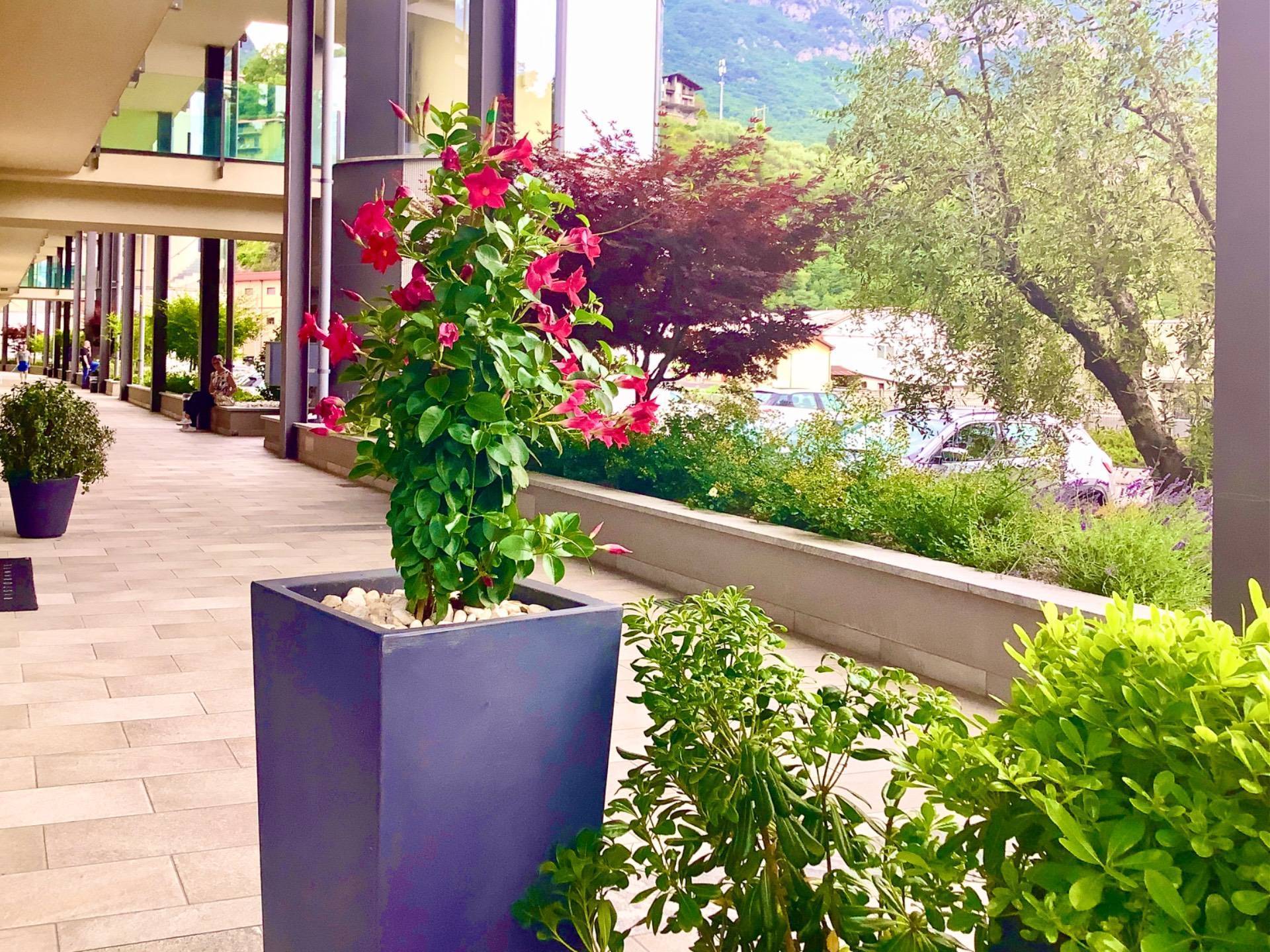 Costa Volpino, Bergamo, 24062, IT, 5 Bedrooms Bedrooms, ,3 BathroomsBathrooms,Residential,For Sale,1907381