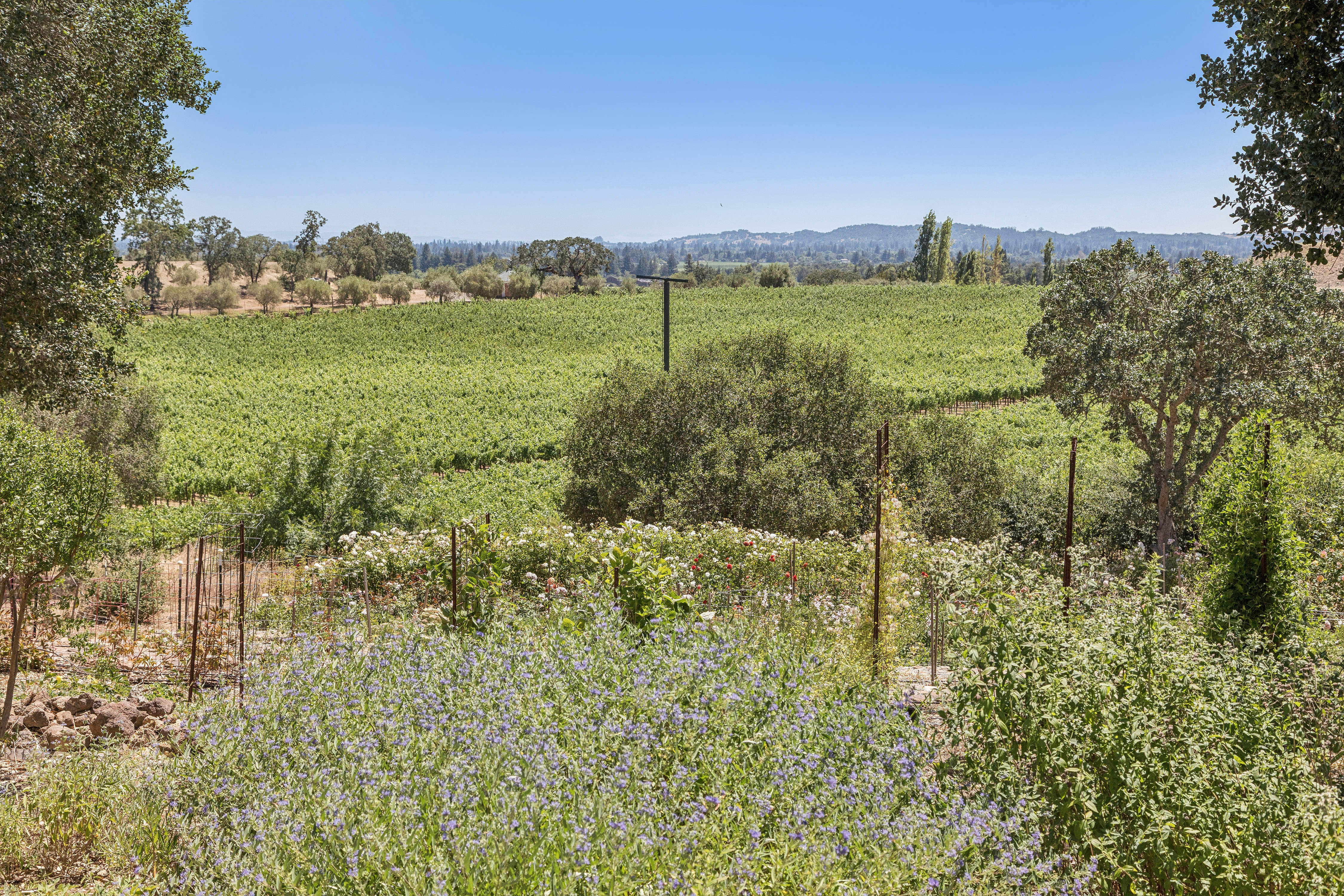  Refined Wine Country Estate - 物件實景