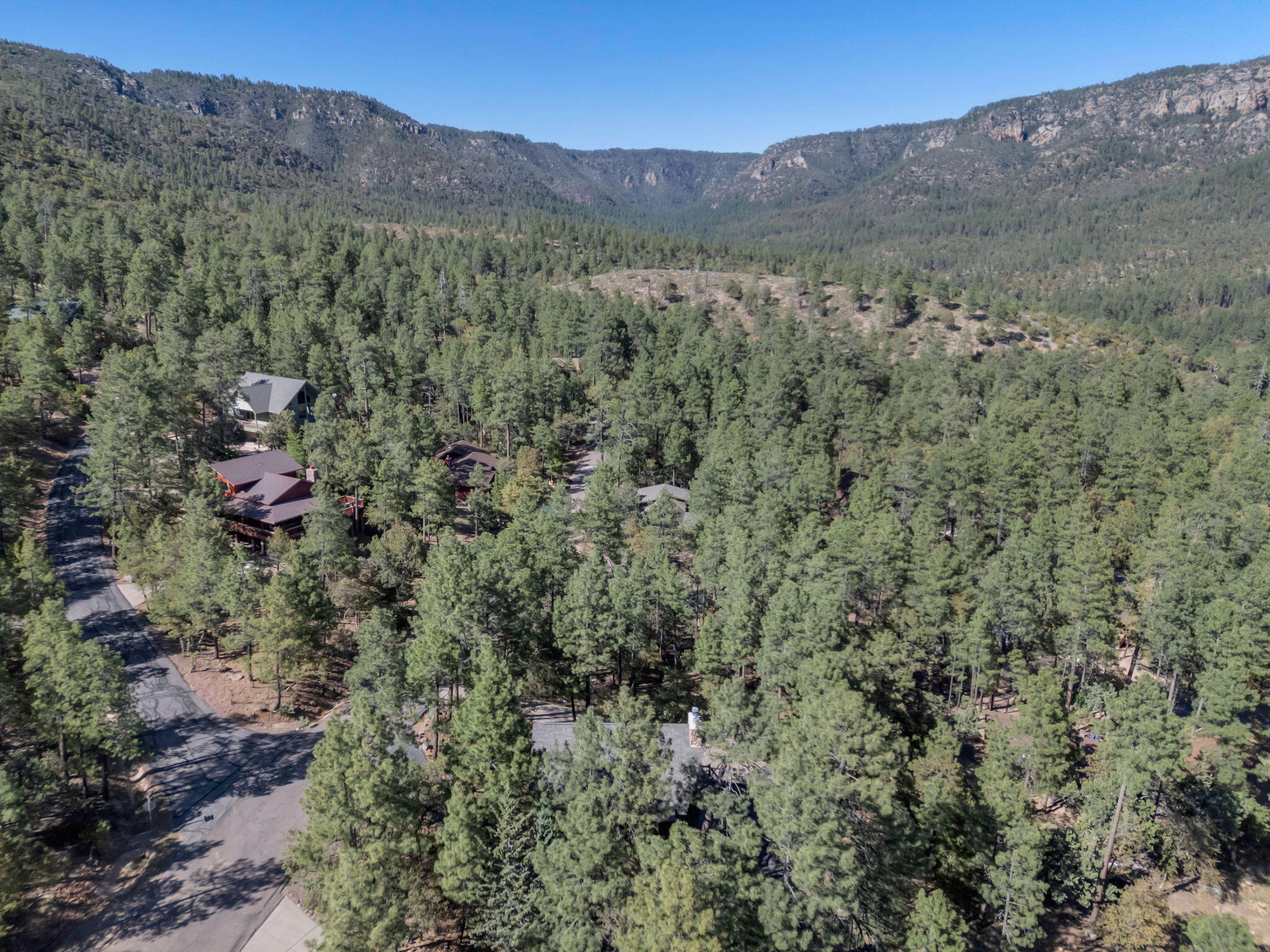 Pine, Arizona, 85544, United States, 3 Bedrooms Bedrooms, ,2 BathroomsBathrooms,Residential,For Sale,1828056