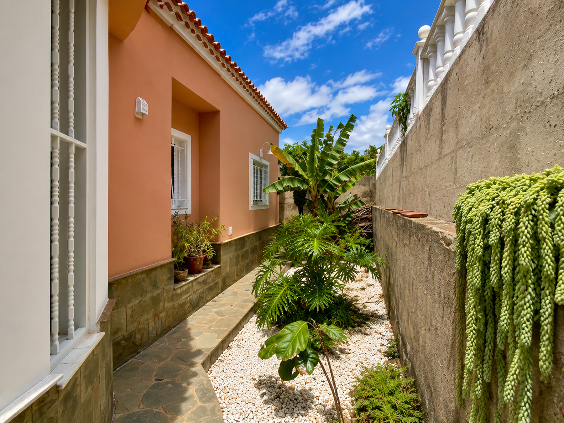  Classic Villa in Natural Setting, Icod de los Vinos - 物件實景
