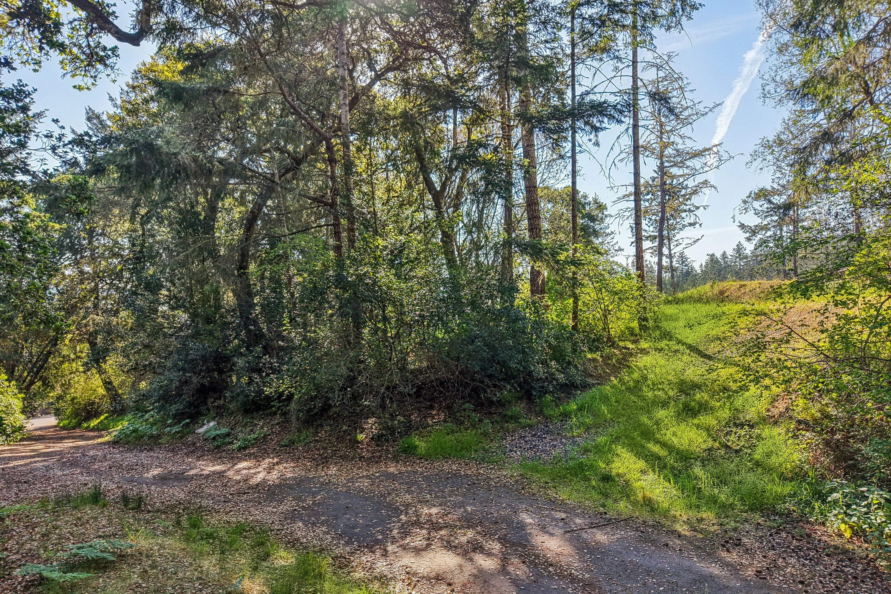  Find your Peace  in the Embrace of Nature - 物件實景