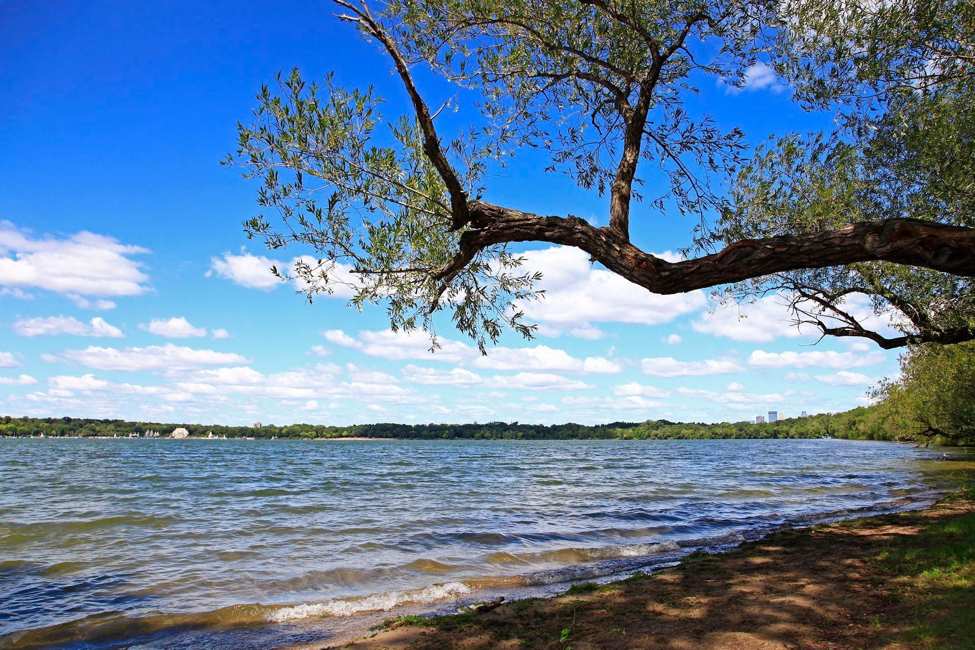 Minneapolis, Minnesota, 55419, United States, ,Residential,For Sale,1987562