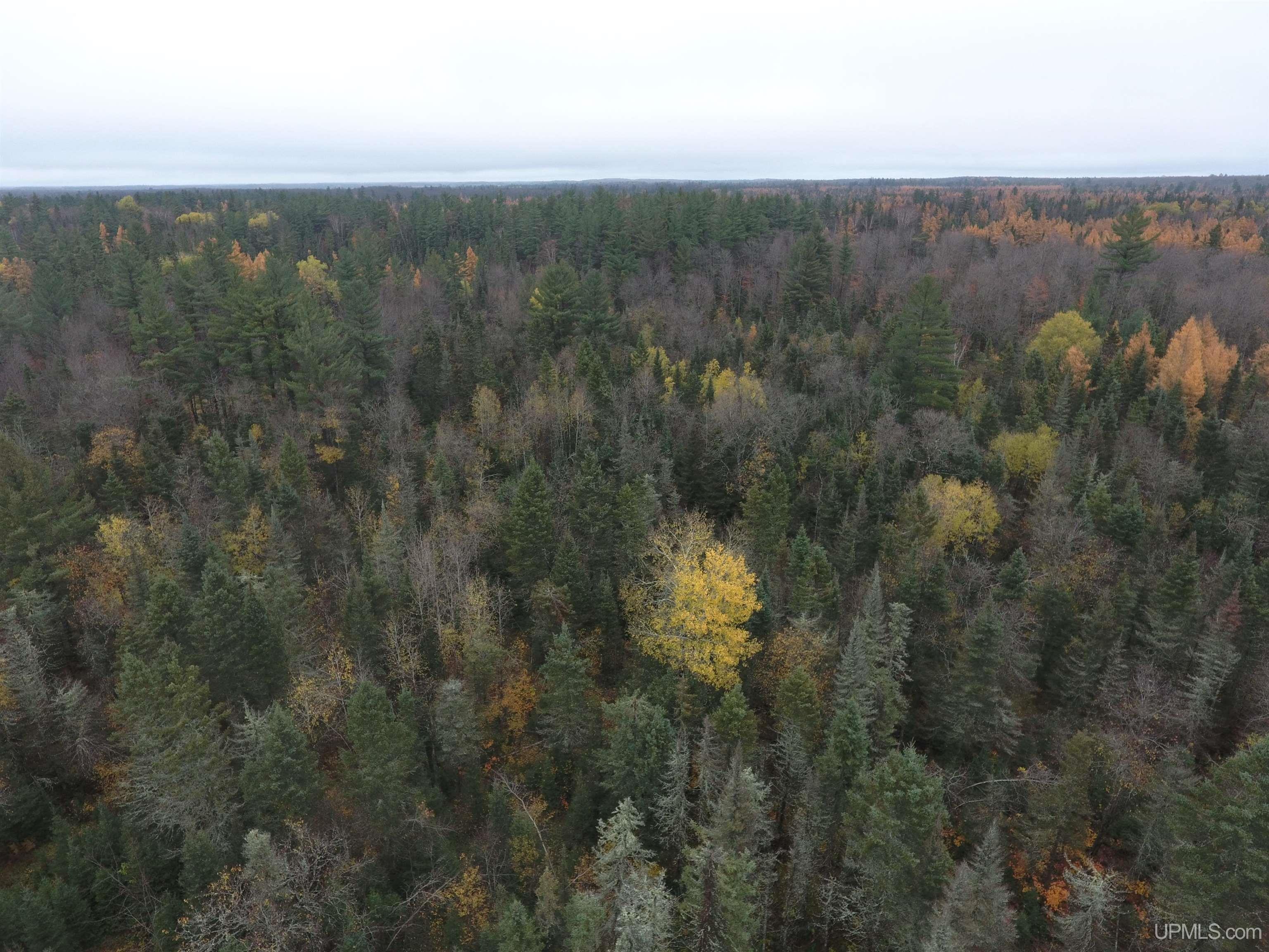 Michigamme, Michigan, 49861, United States, 4 Bedrooms Bedrooms, ,Residential,For Sale,1879057