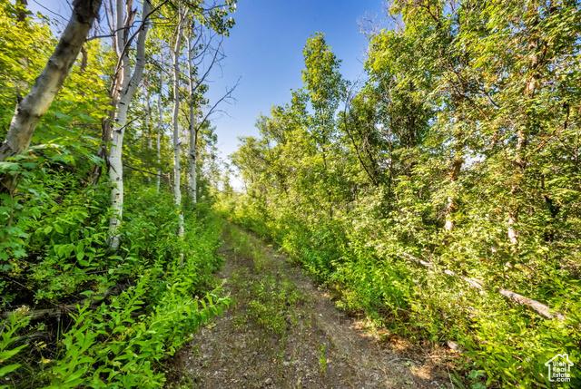 Kamas, Utah, 84036, United States, ,Residential,For Sale,1976580