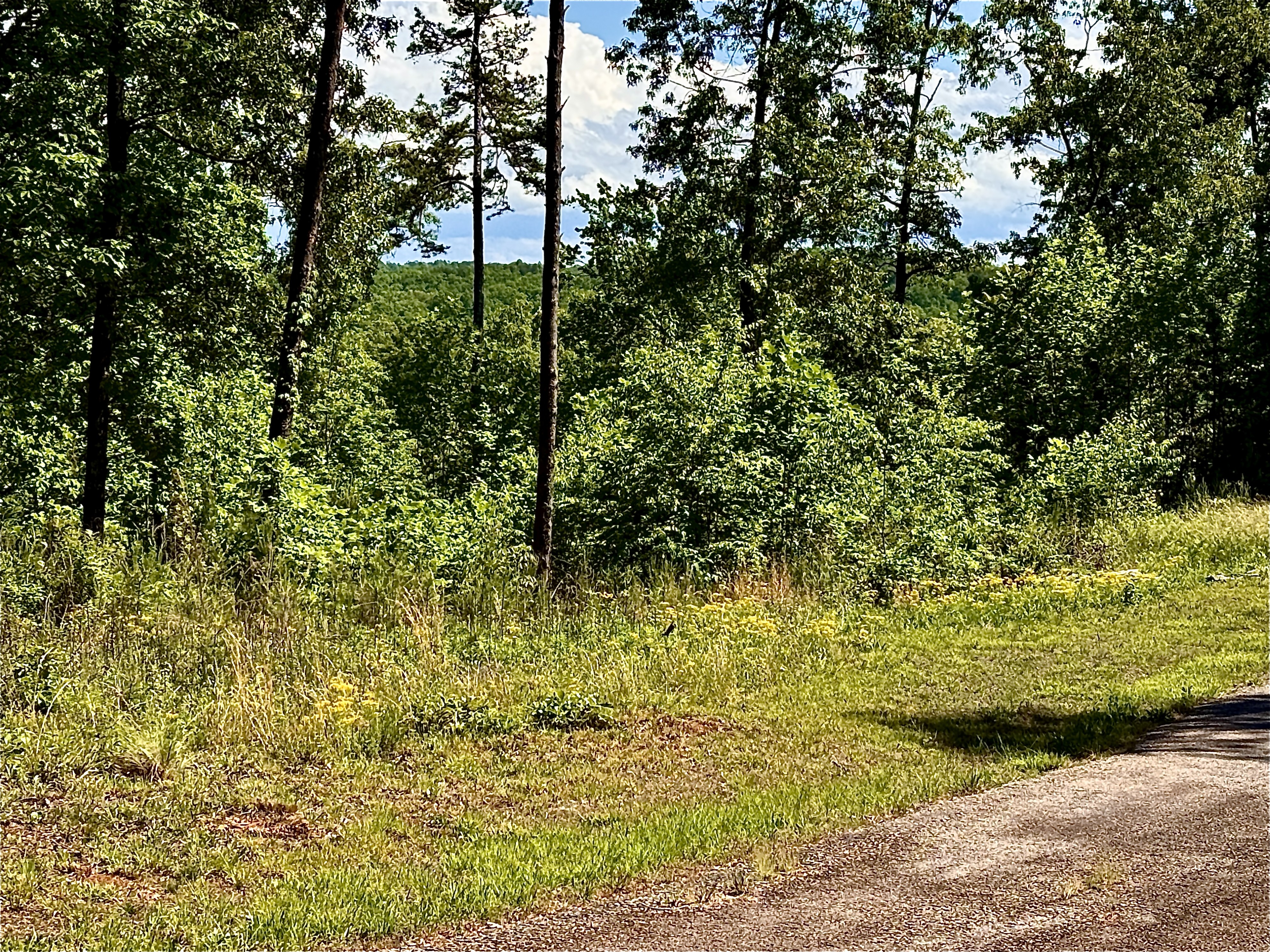  Lot 261 Rock Ledge Drive - 物件實景