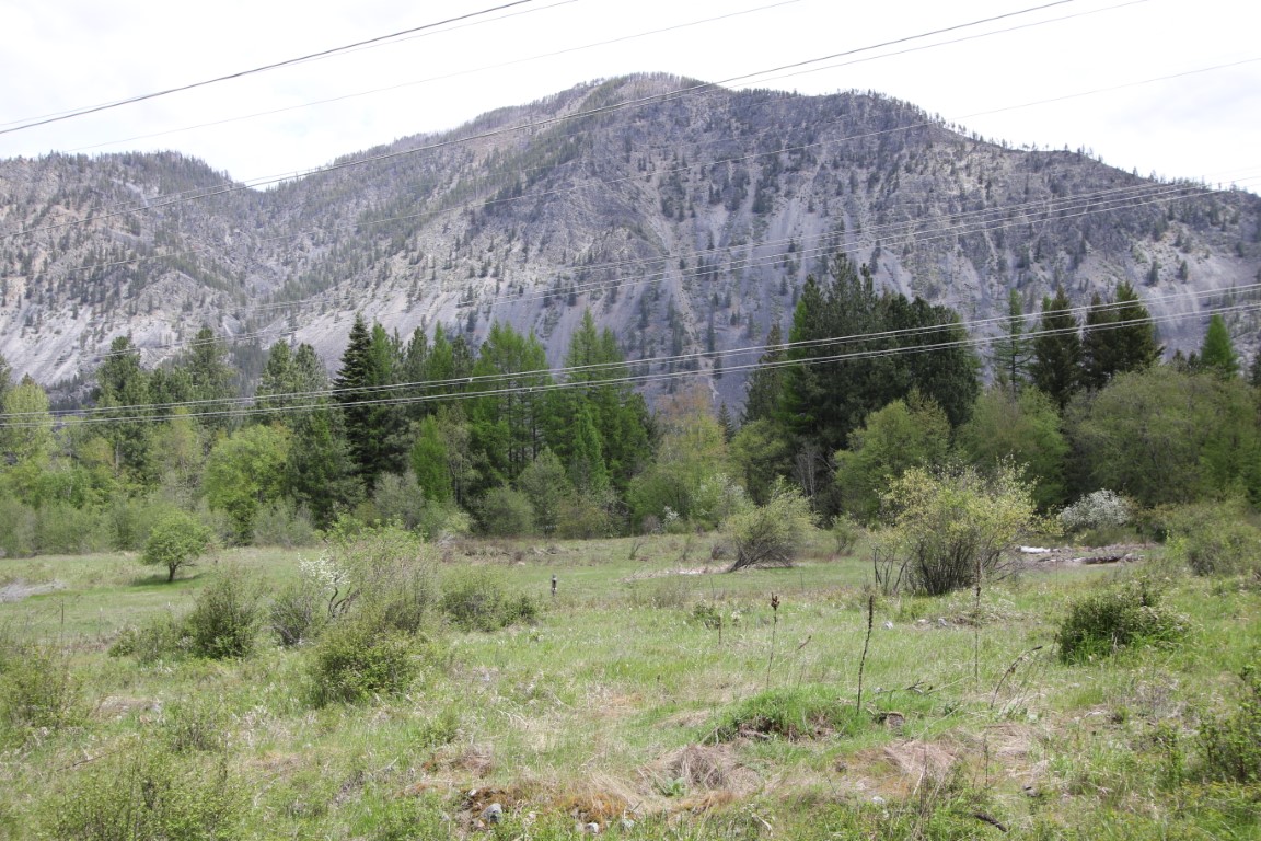 Plains, Montana, 59859, United States, ,Residential,For Sale,1921183