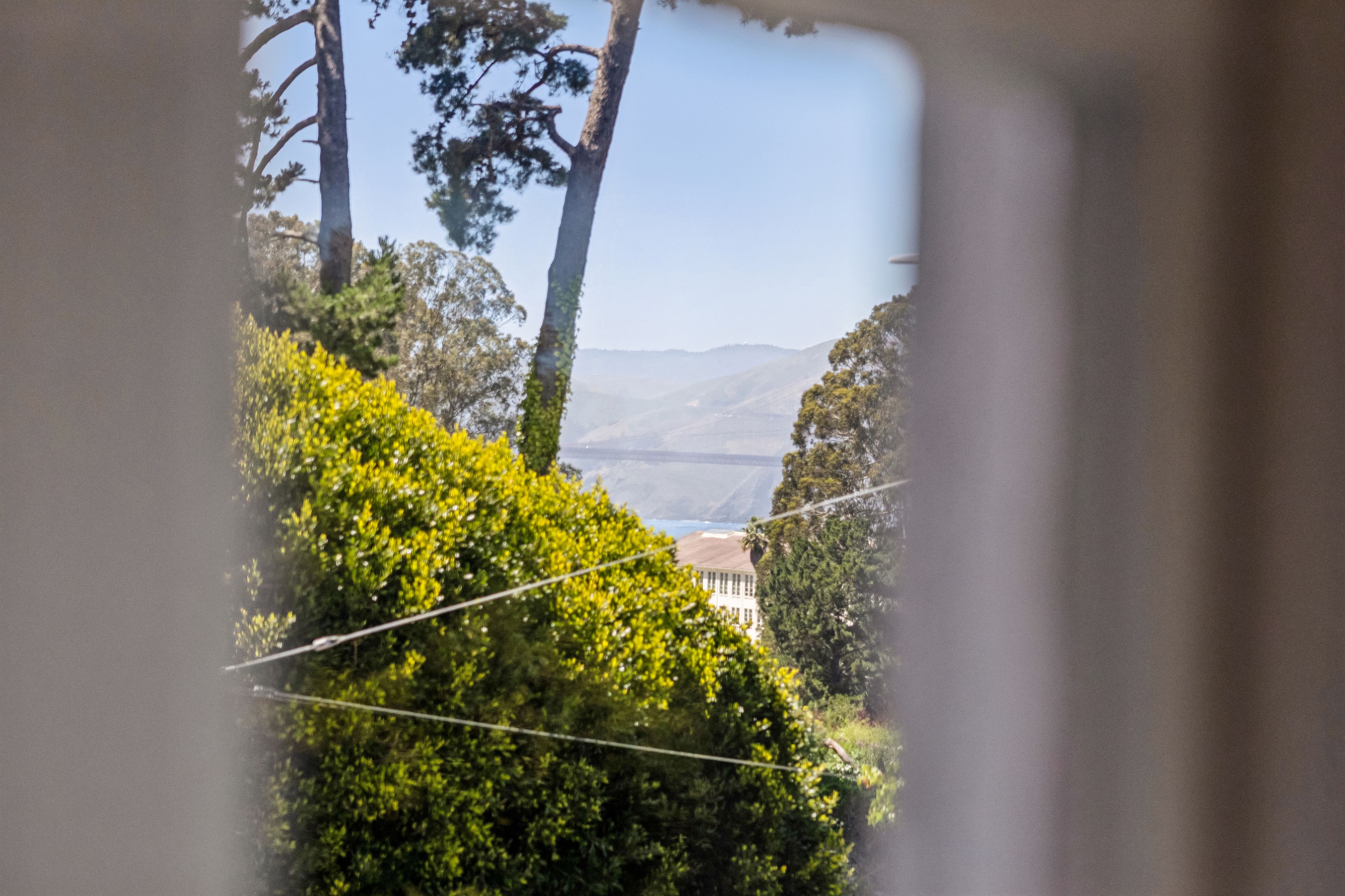  Cow Hollow Edwardian with Presidio Views - 物件實景