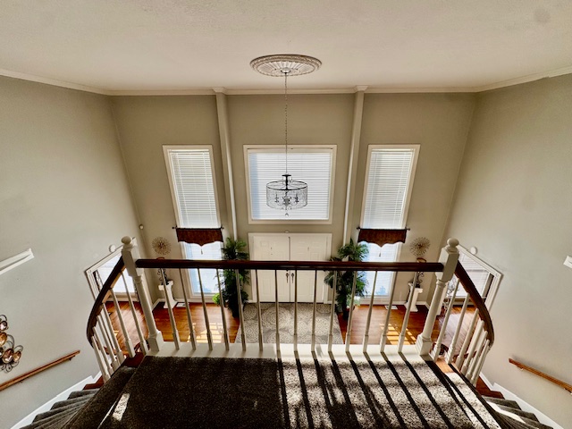 Paragould, Arkansas, 72450, United States, 5 Bedrooms Bedrooms, ,3 BathroomsBathrooms,Residential,For Sale,1955284