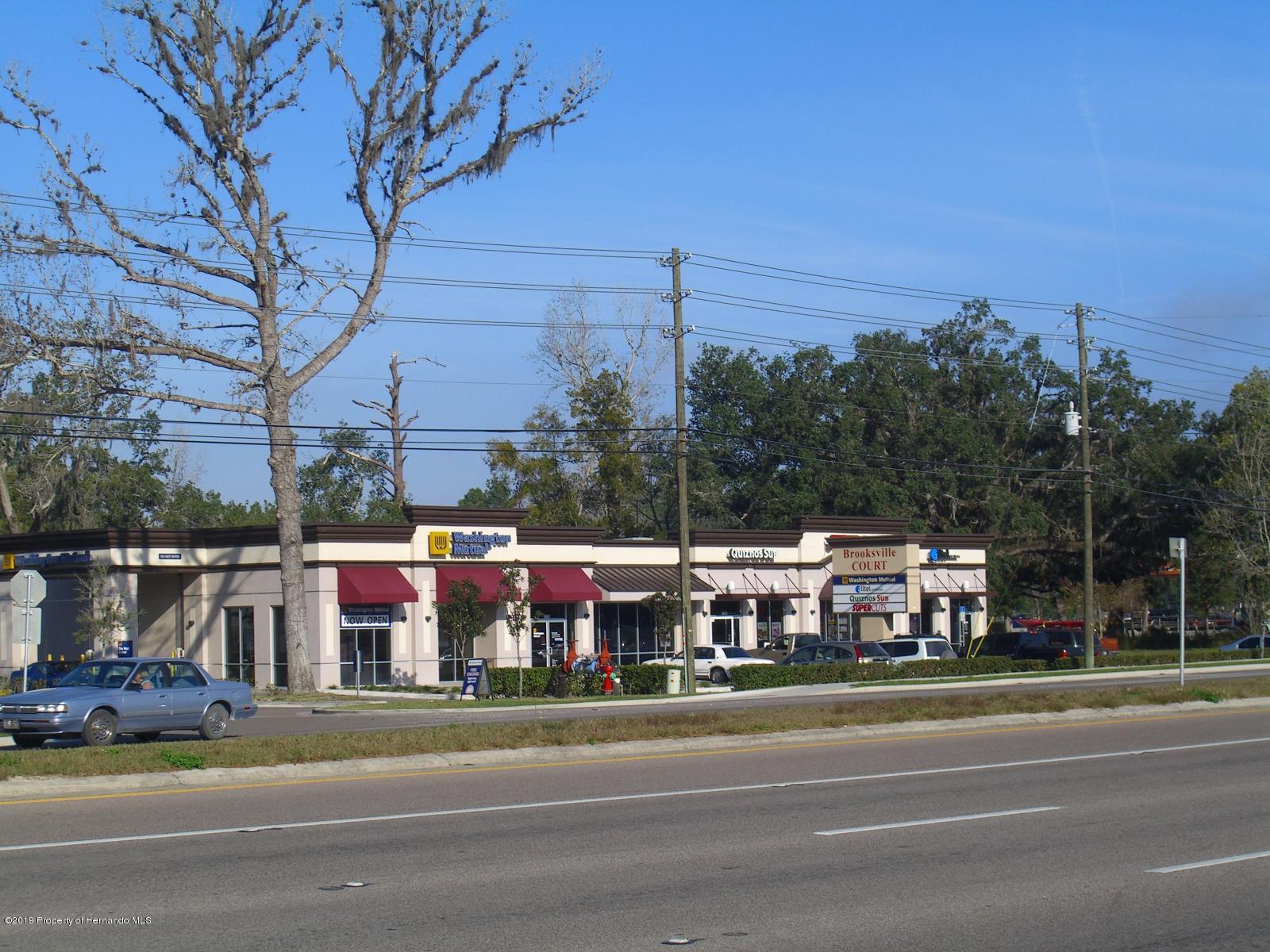 Brooksville, Florida, 34601, United States, ,Land,For Sale,1976976