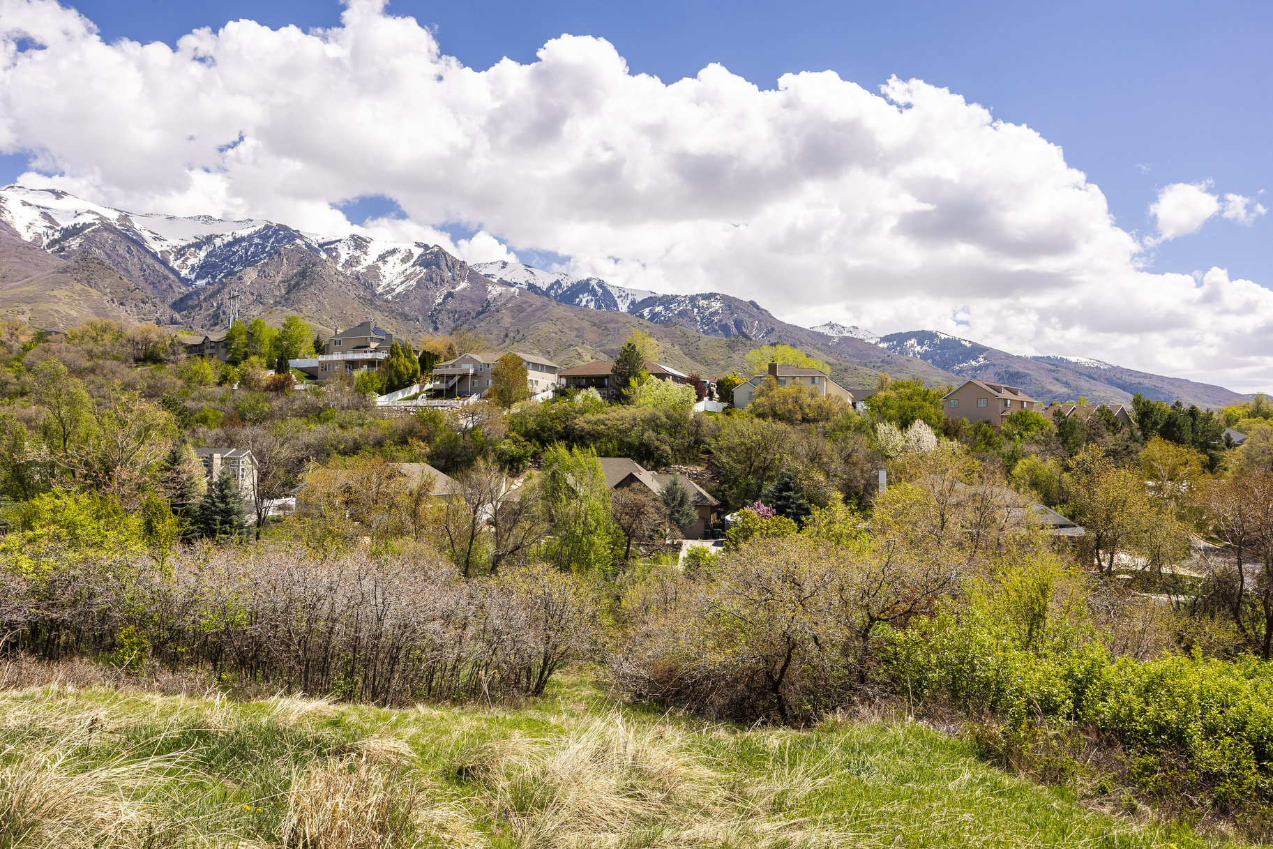  1.47 Acre Lot In East Layton With Endless Possibilities - 物件實景