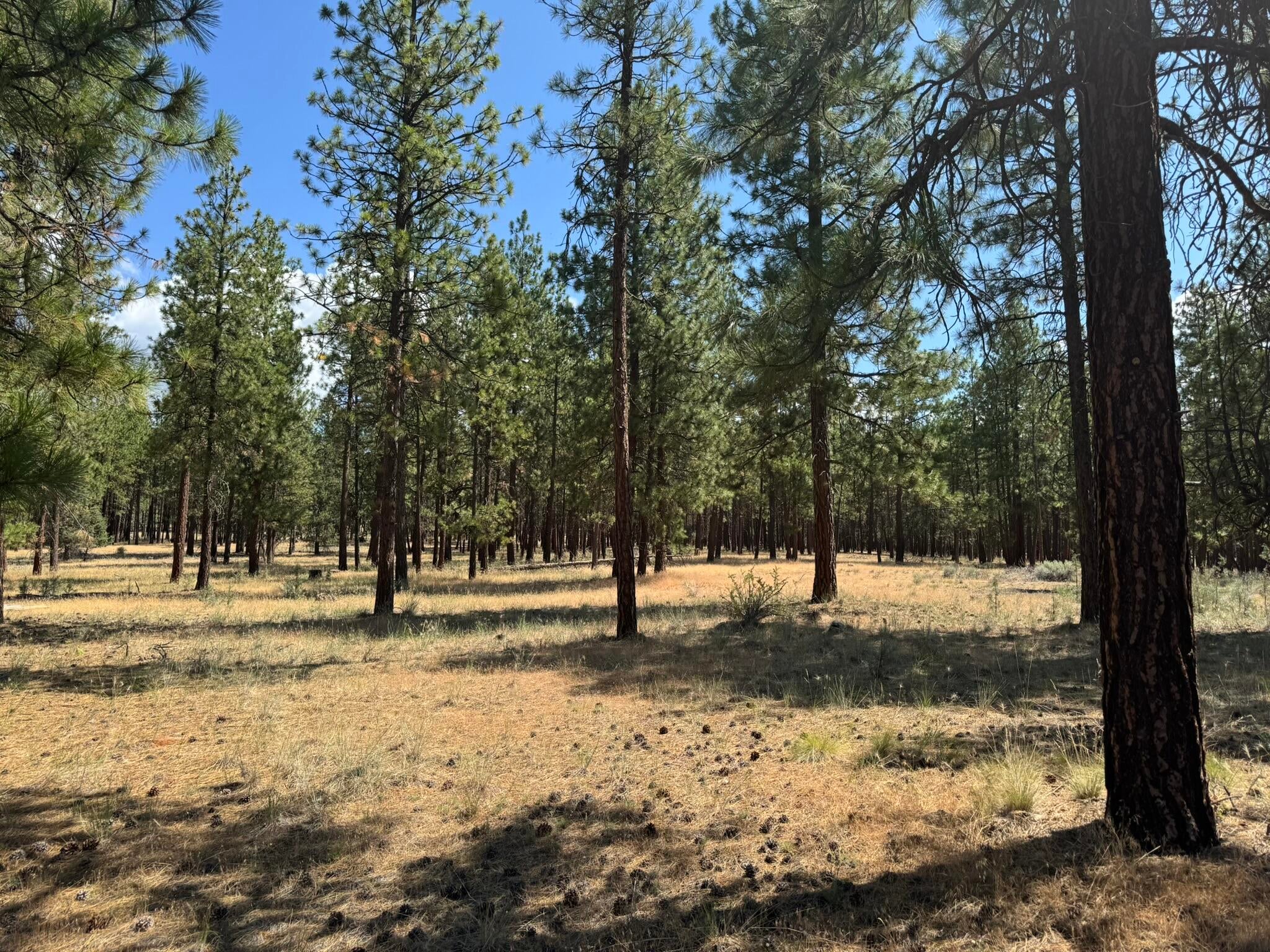 Bonanza, Oregon, 97623, United States, 3 Bedrooms Bedrooms, ,2 BathroomsBathrooms,Residential,For Sale,1903275