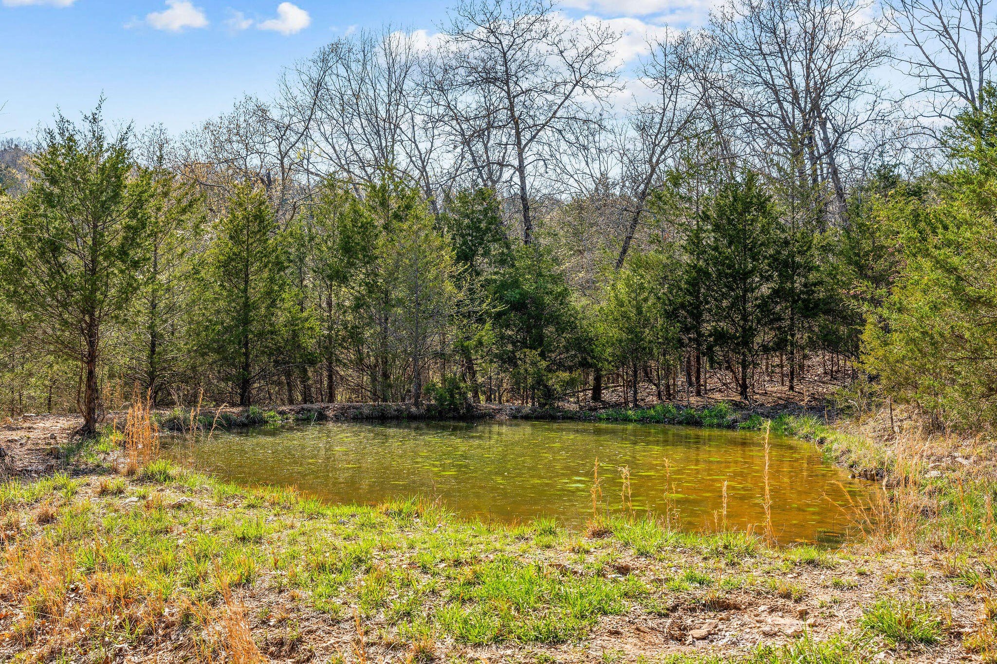 Kirbyville, Missouri, 65679, United States, ,Land,For Sale,1978892