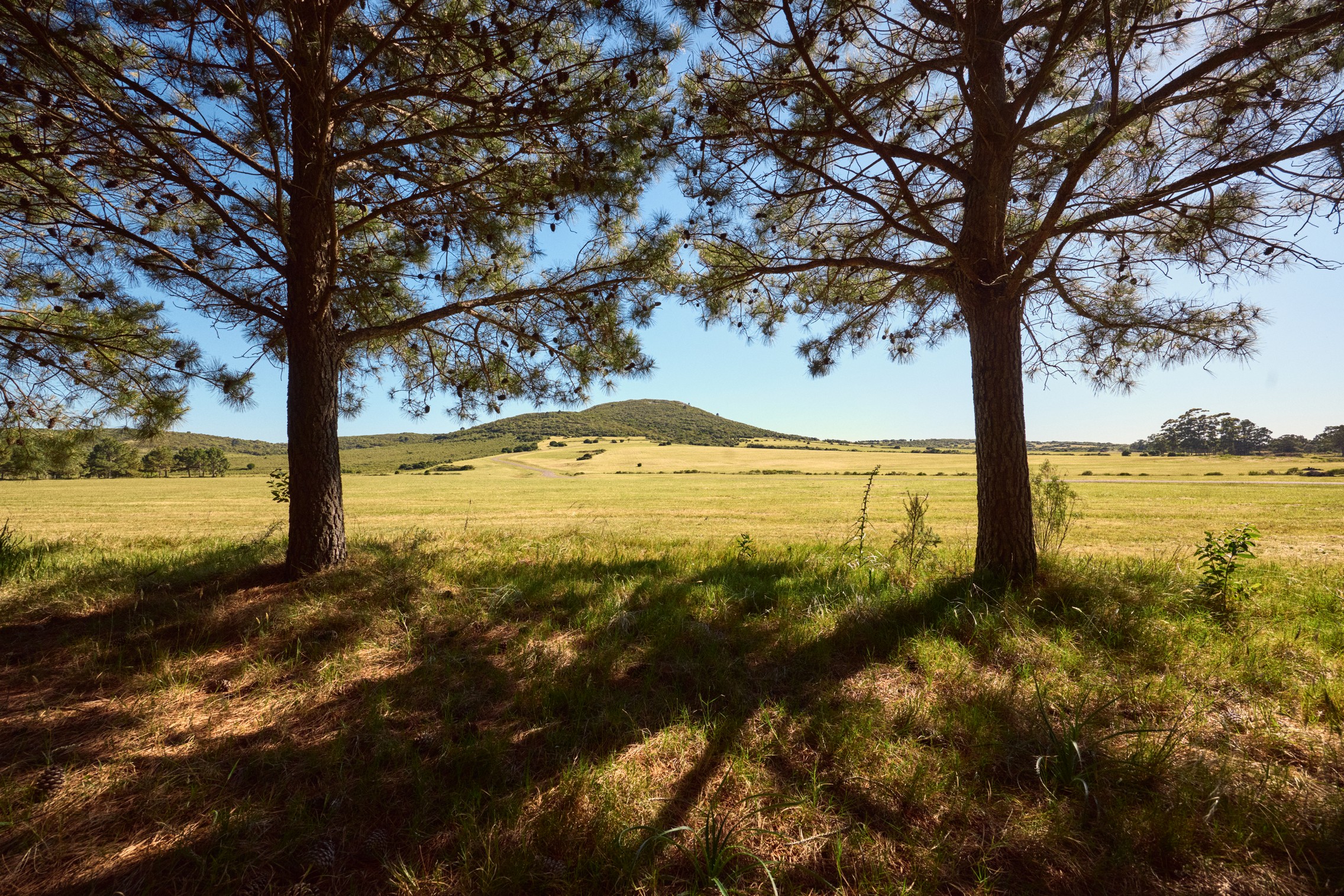  Agreste Punta Negra  Exclusive Country & Sea Club Lots with Ocean Views - 物件實景