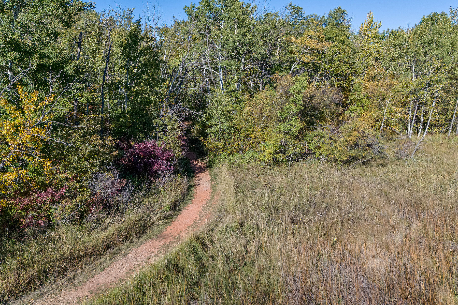  602 Pheasant Close - 物件實景