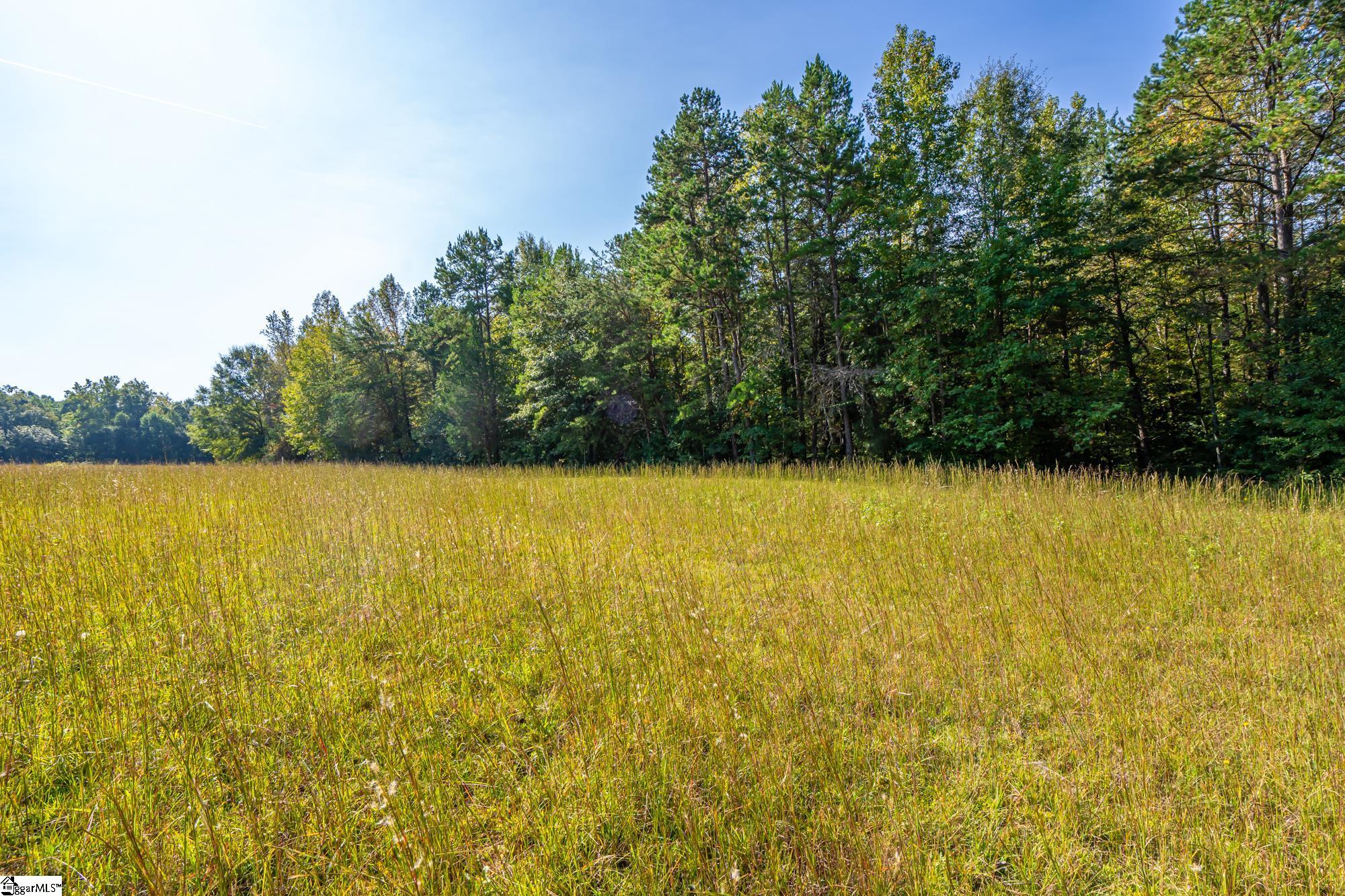 276 Burns Road, Greer, South Carolina, 29651, United States, ,Land,For Sale,276 Burns Road,1628297