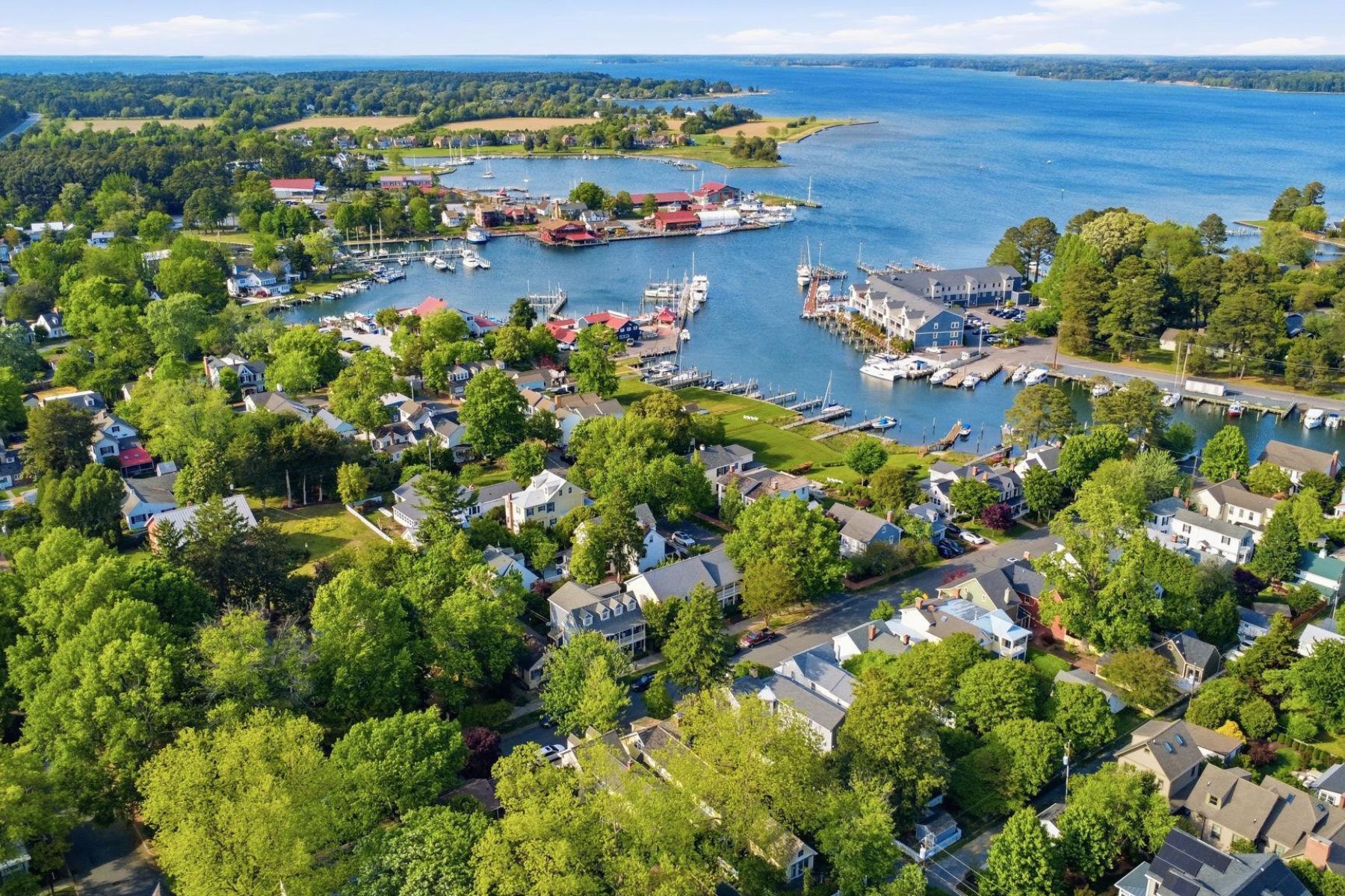  202 East Chestnut Street, Saint Michaels, MD 21663 - 物件實景